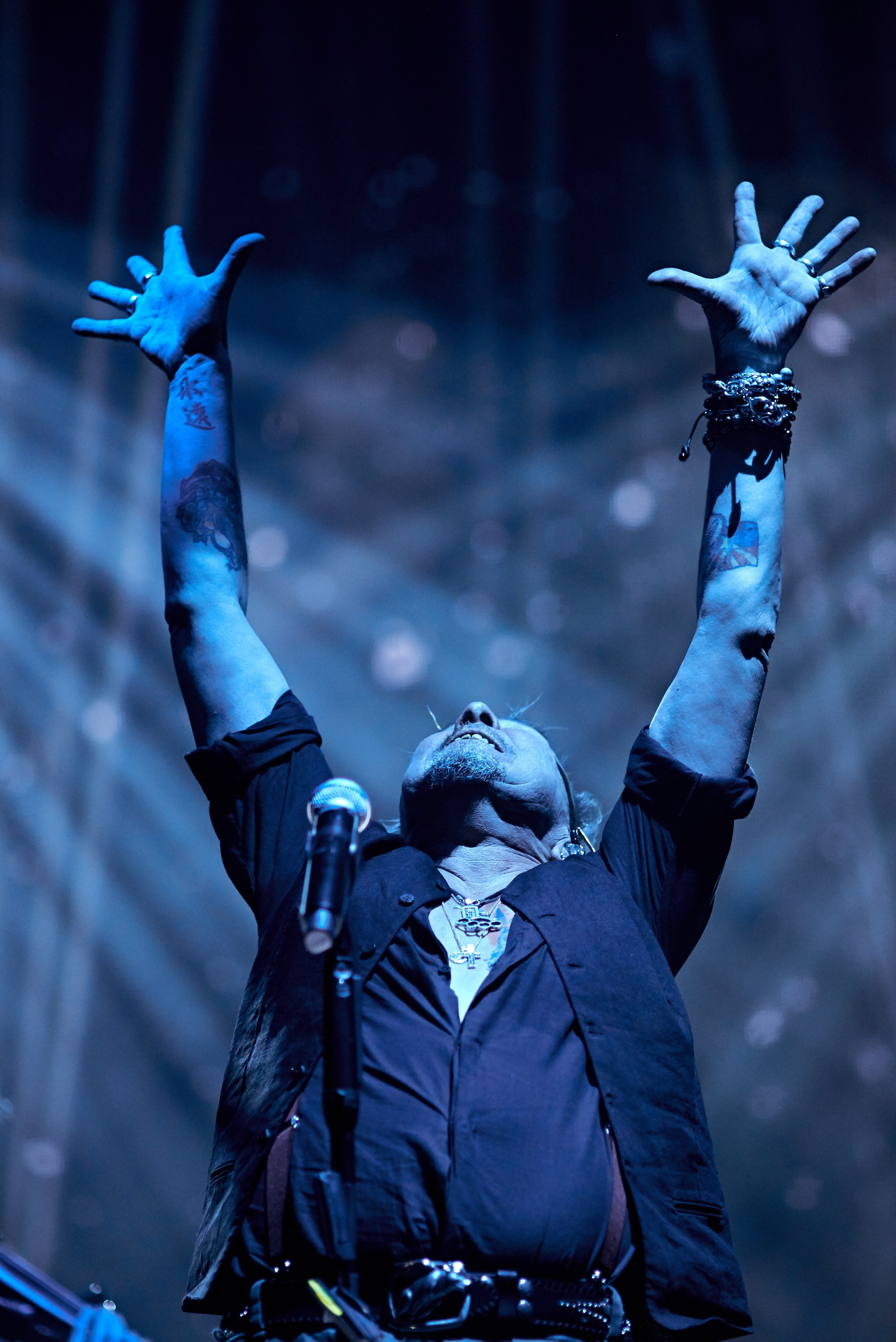 Концерт Гарика Сукачёва. Vladimir Borele Photographer