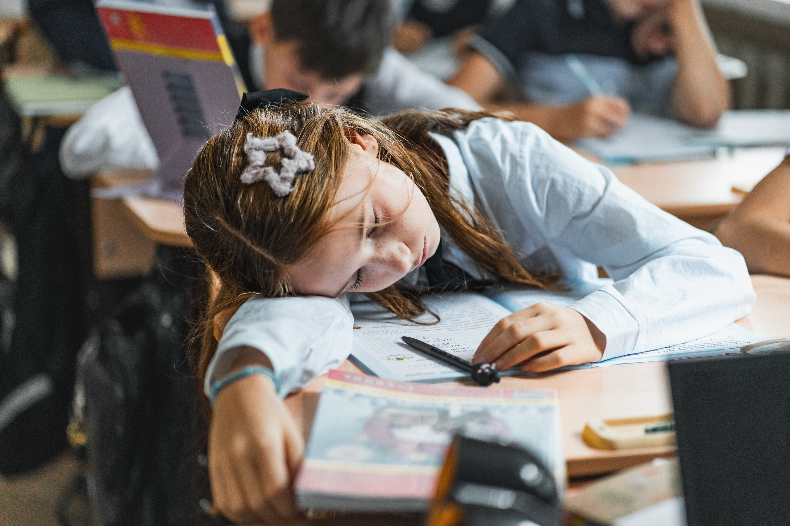 Школьные альбомы и альбомы для детского сада. Юлия Осипова. Москва