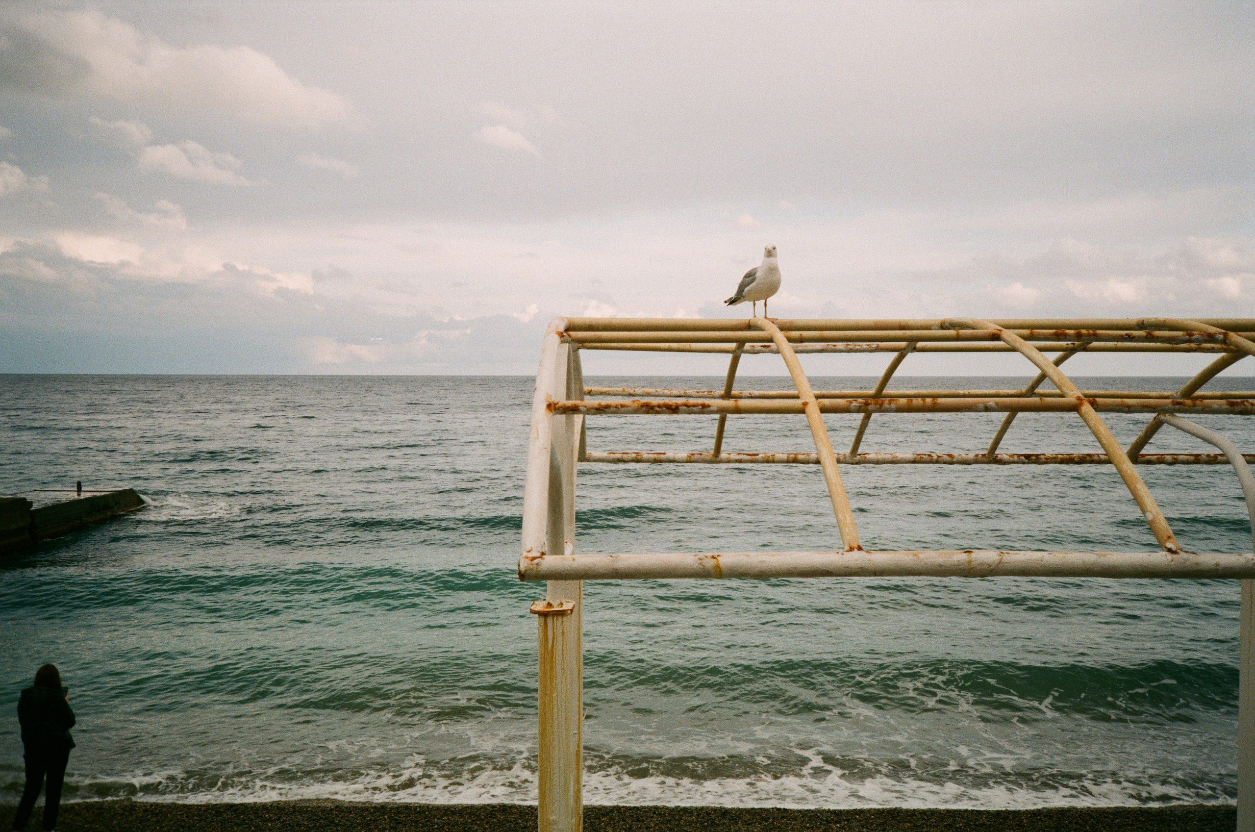 Автор: Анастасия Смирнова