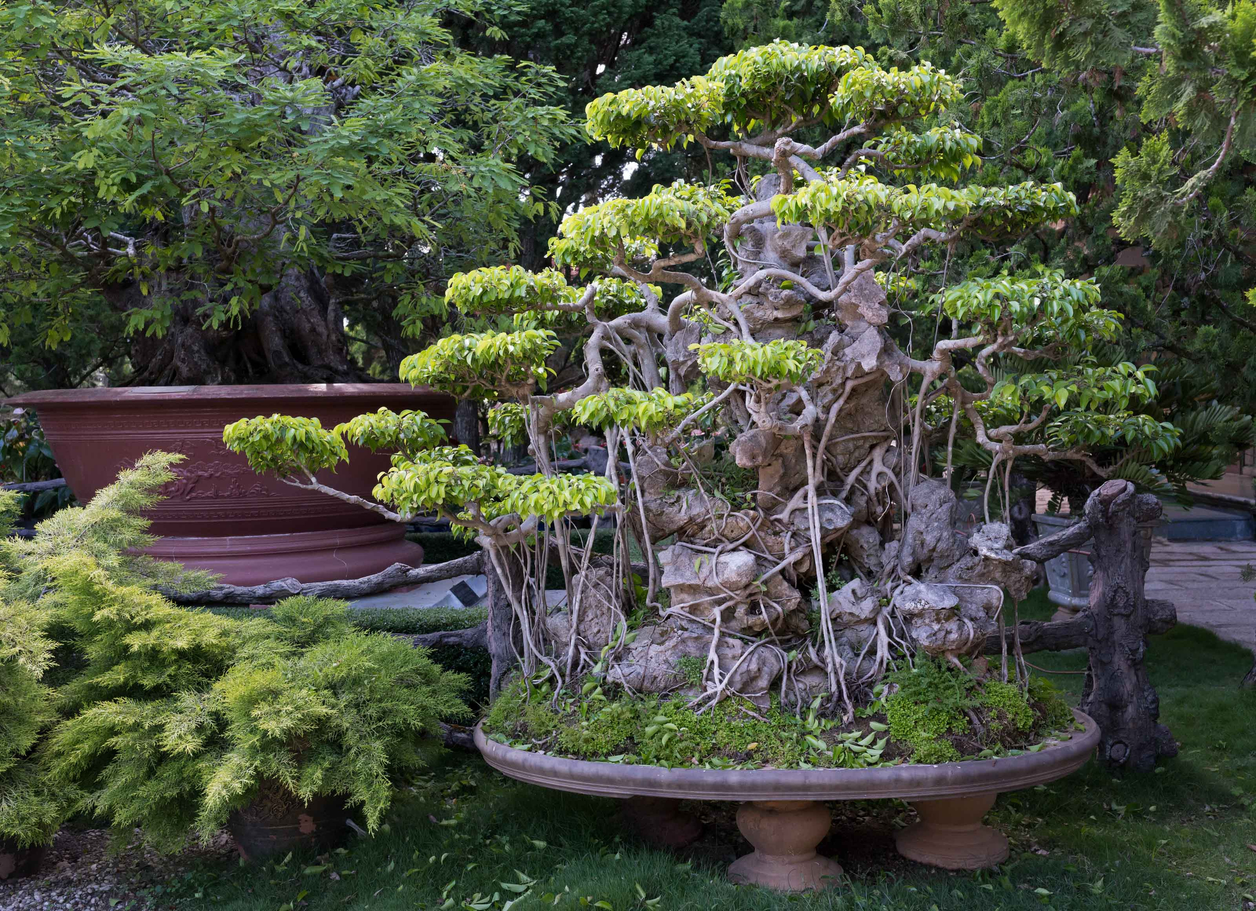 Далат. Август 2020. Юлия Розанова, коммерческий фоторепортаж в Москве