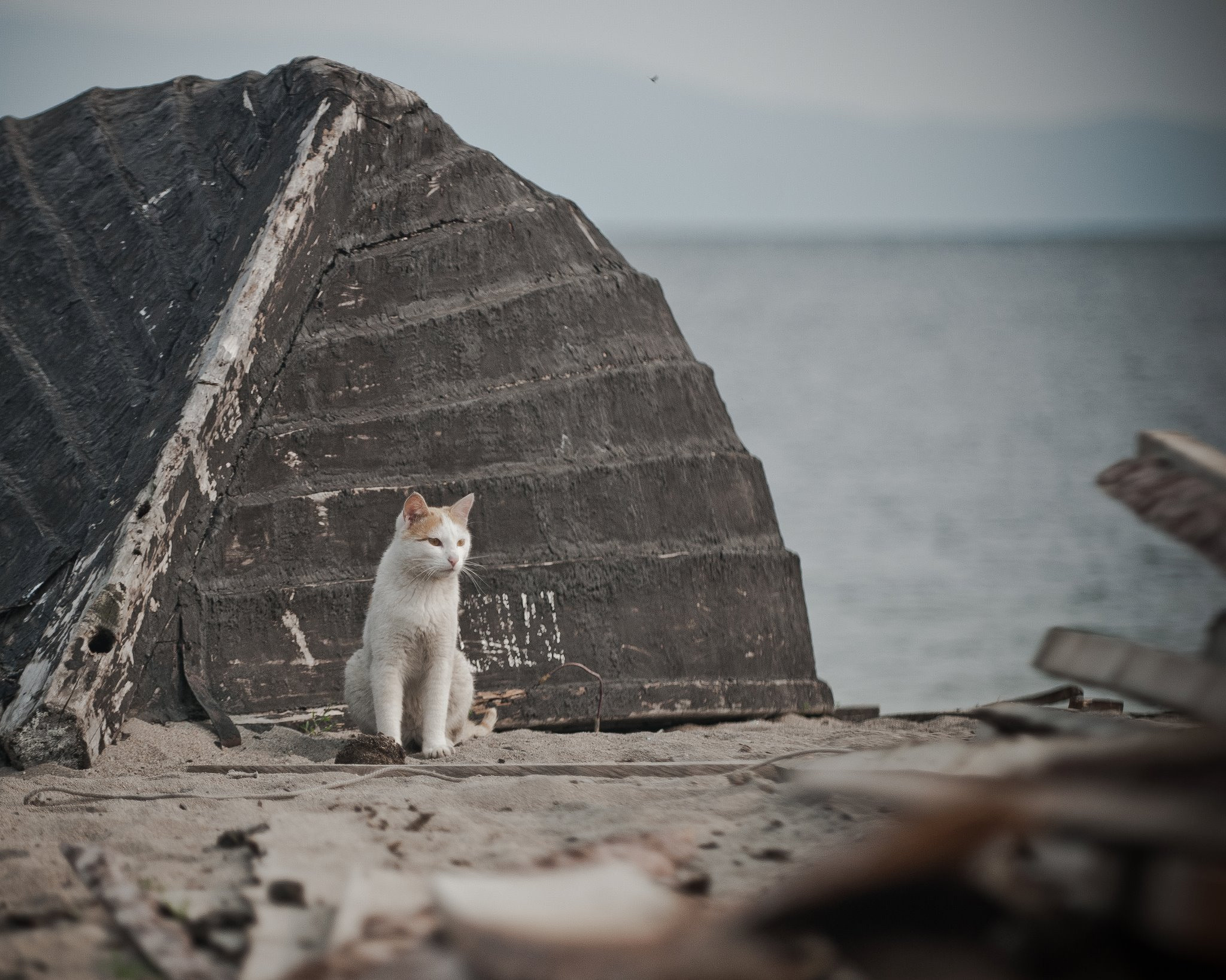 Байкал. Посёлок Курбулик. Юлия Розанова, коммерческий фоторепортаж в Москве