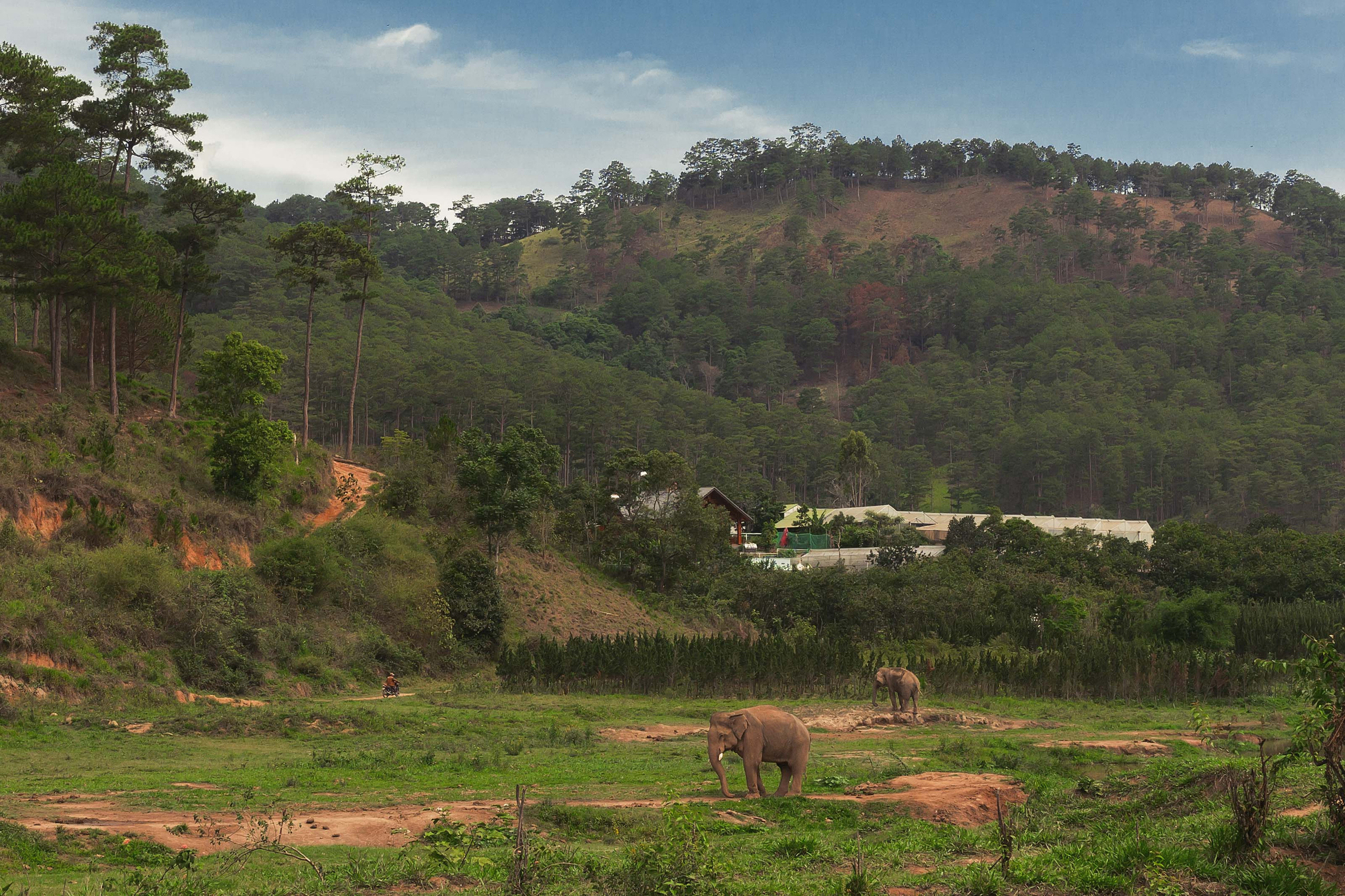 Далат. Август 2020. Юлия Розанова, коммерческий фоторепортаж в Москве