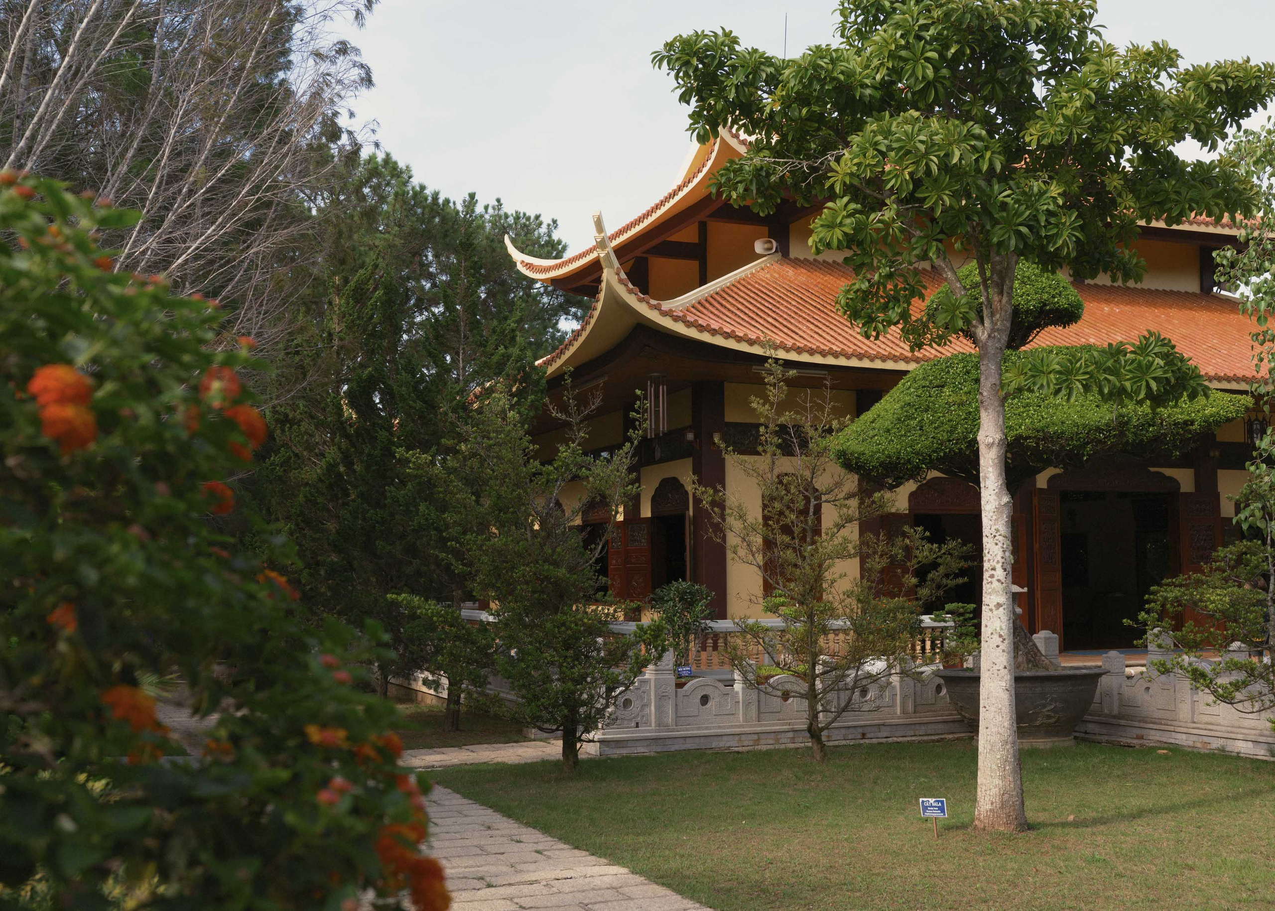 Далат. Август 2020. Юлия Розанова, коммерческий фоторепортаж в Москве