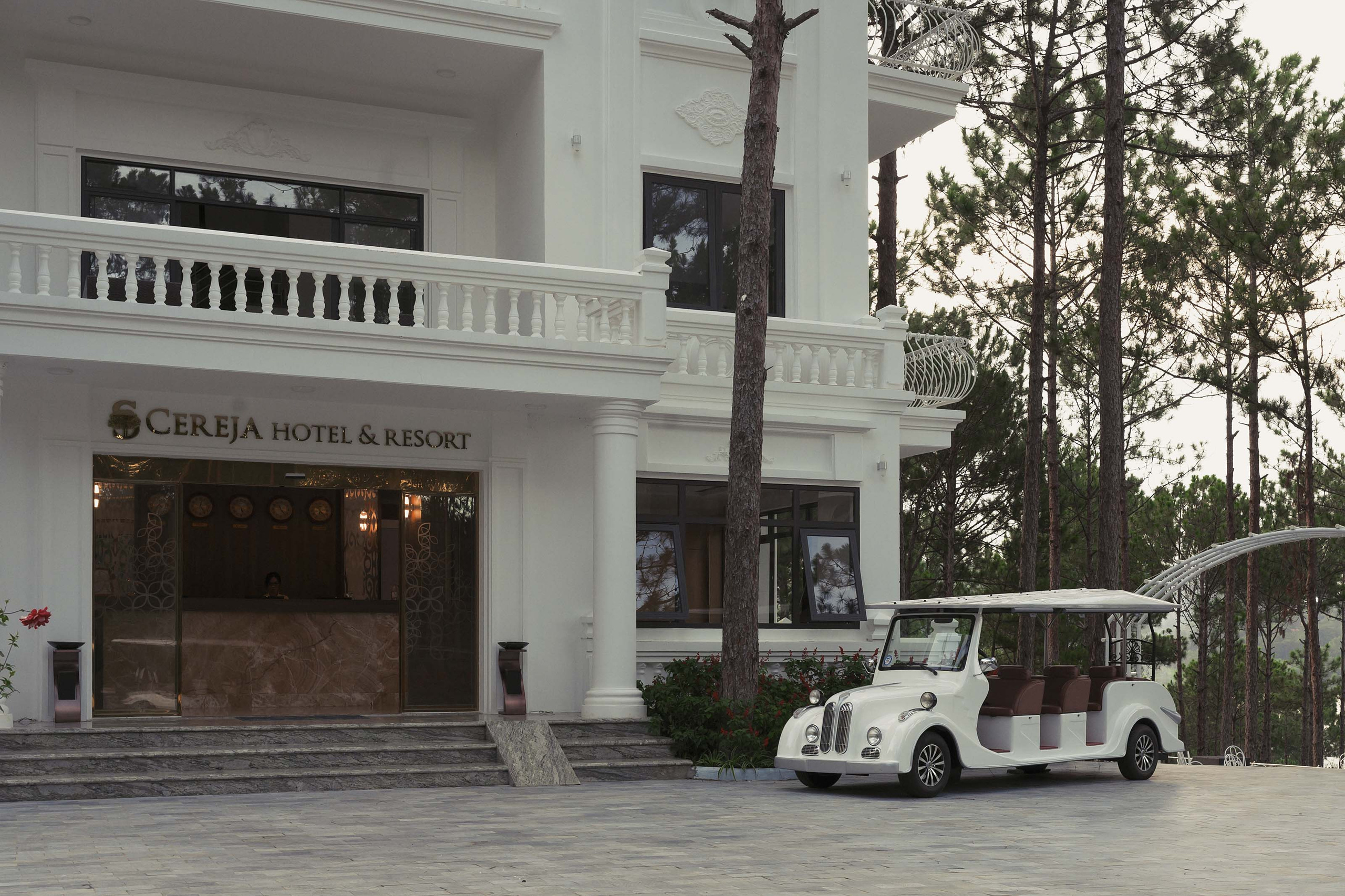 Далат. Август 2020. Юлия Розанова, коммерческий фоторепортаж в Москве