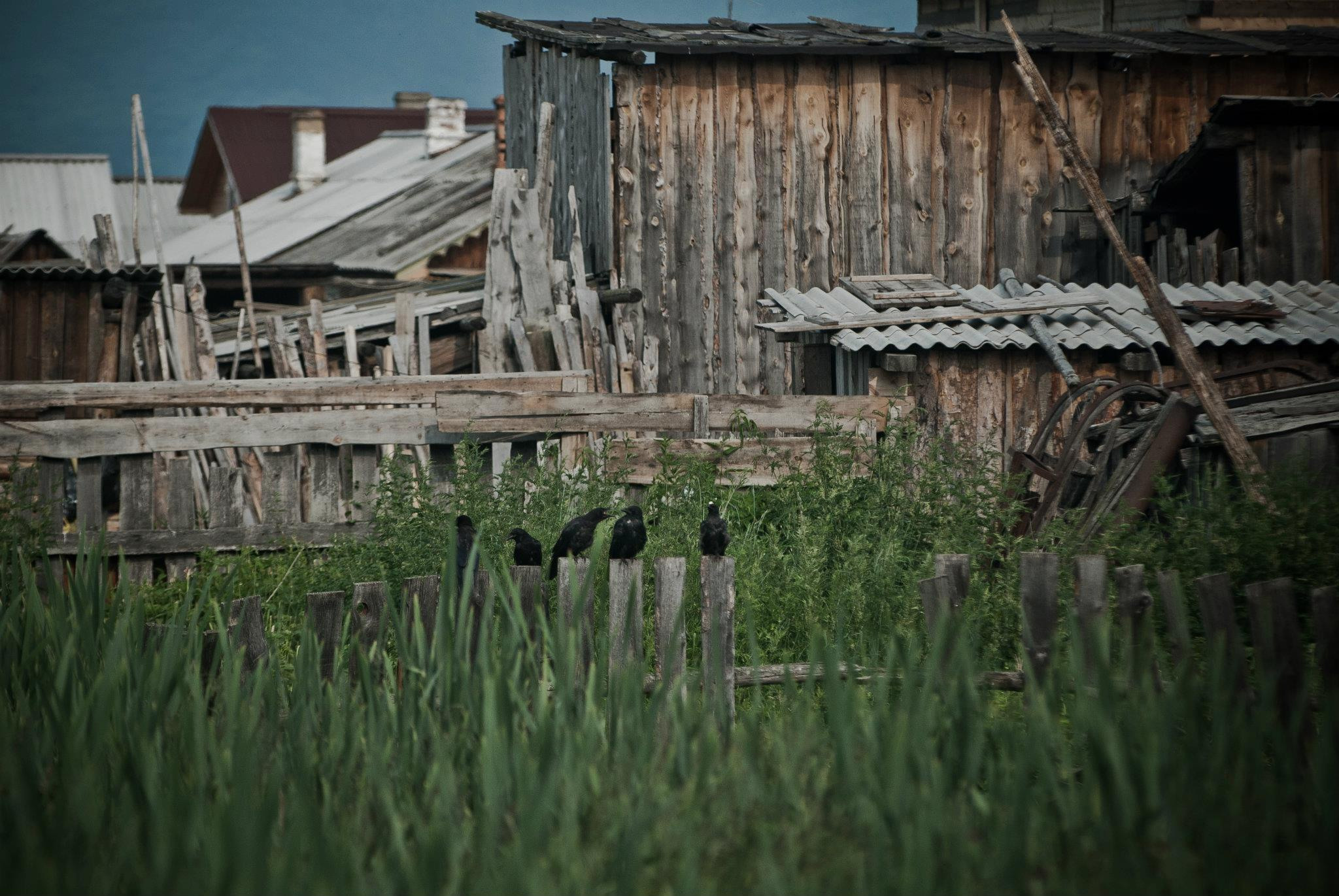 Байкал. Посёлок Курбулик. Юлия Розанова, коммерческий фоторепортаж в Москве