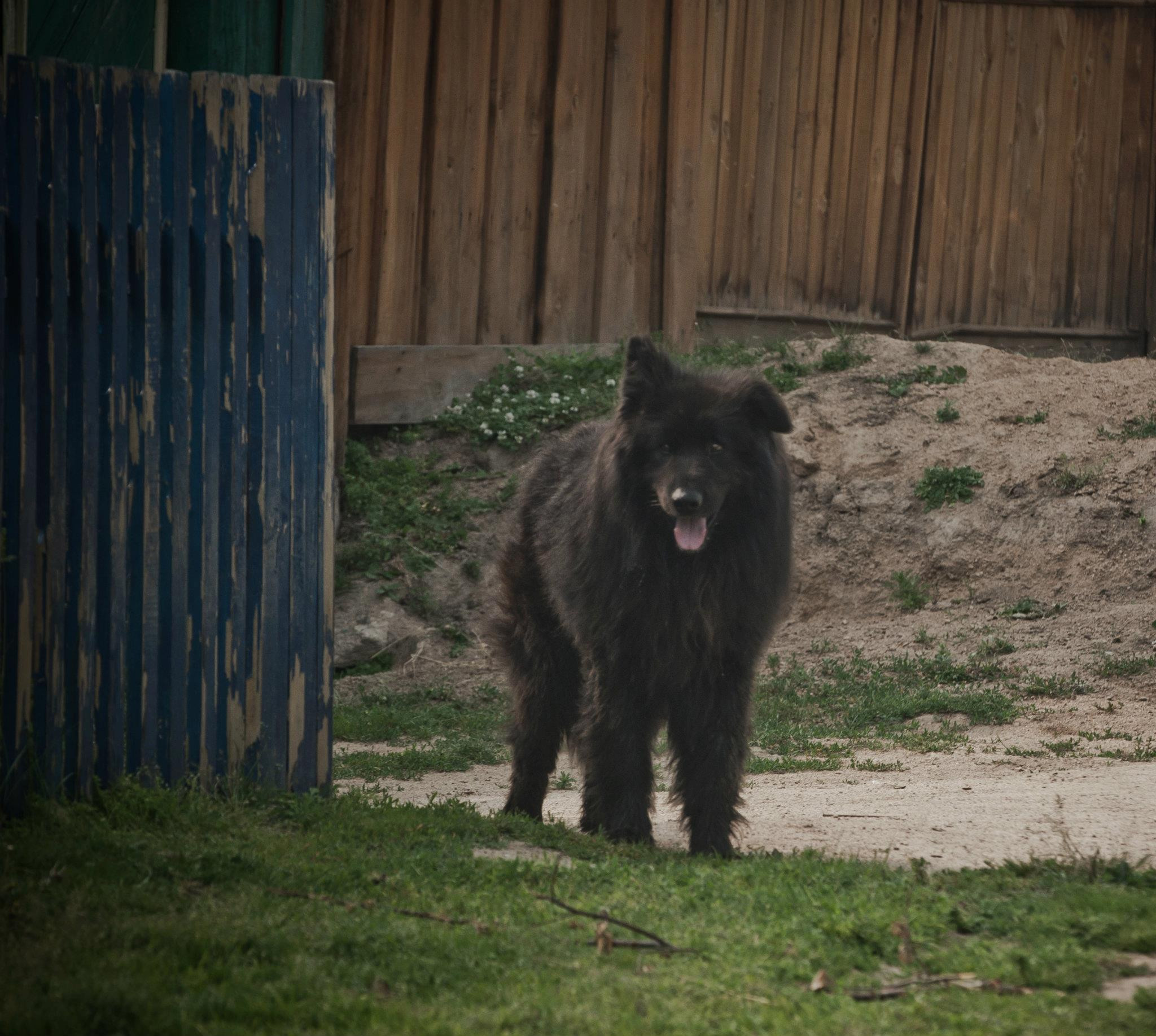 Байкал. Посёлок Курбулик. Юлия Розанова, коммерческий фоторепортаж в Москве