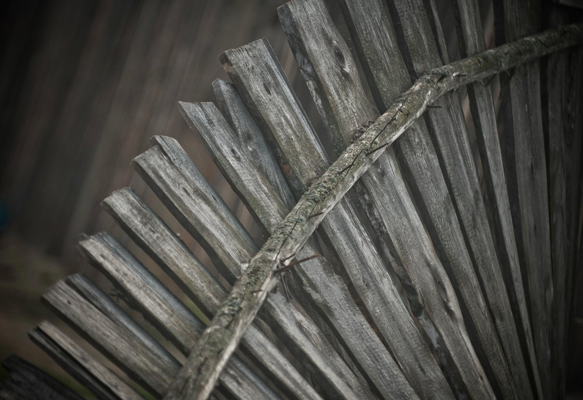 Байкал. Посёлок Курбулик. Юлия Розанова, коммерческий фоторепортаж в Москве
