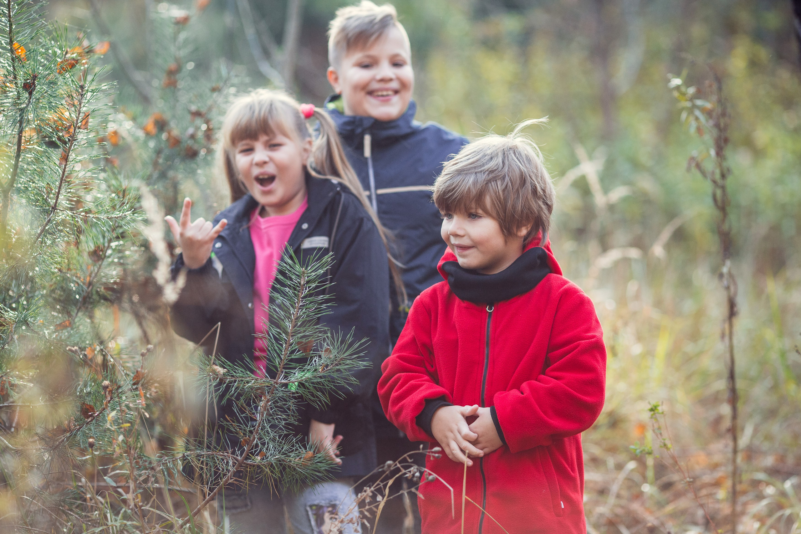 Фотопрогулка семьи в осеннем лесу. Фотограф — Евгений Свистков