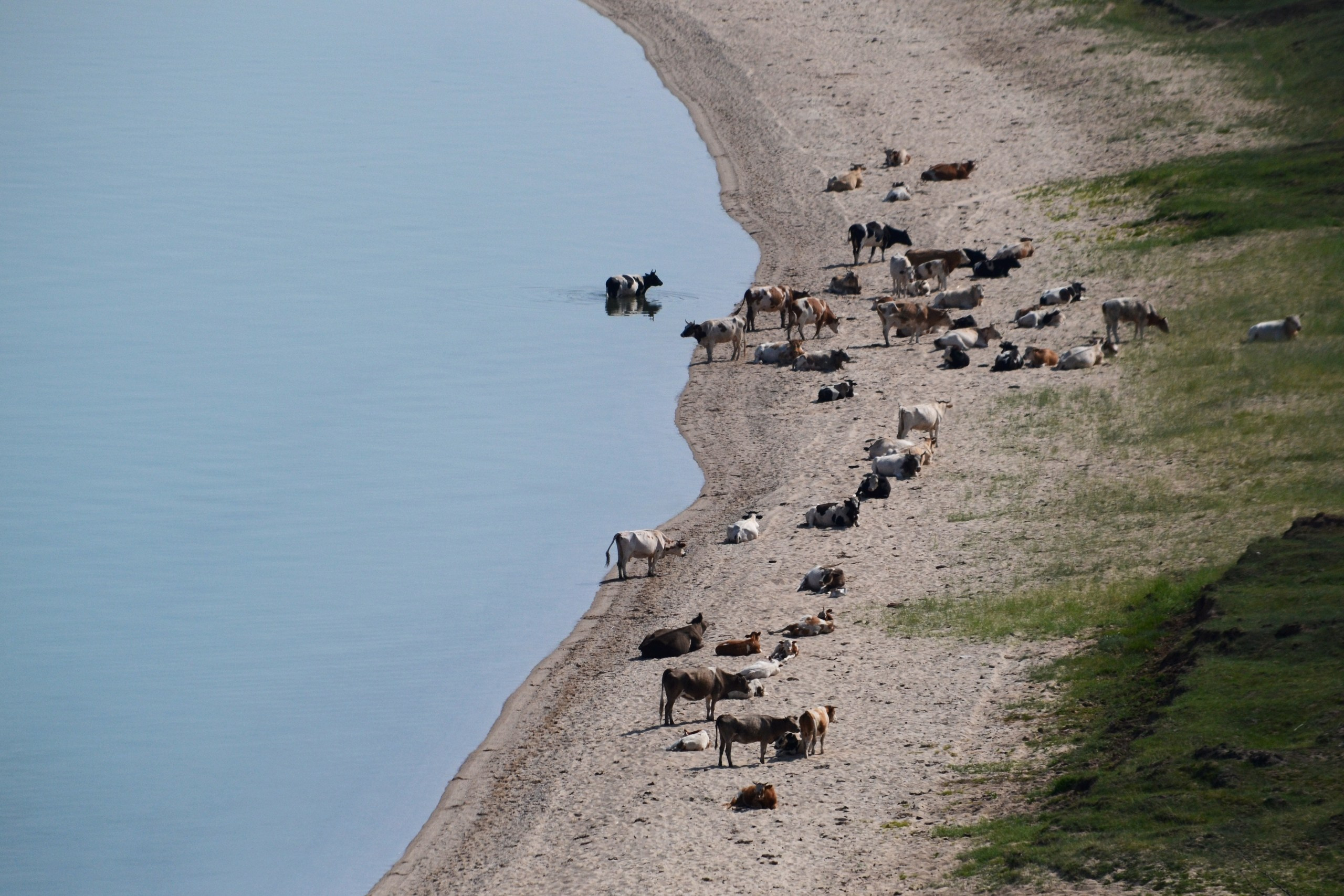 Автор: Николай Сычев