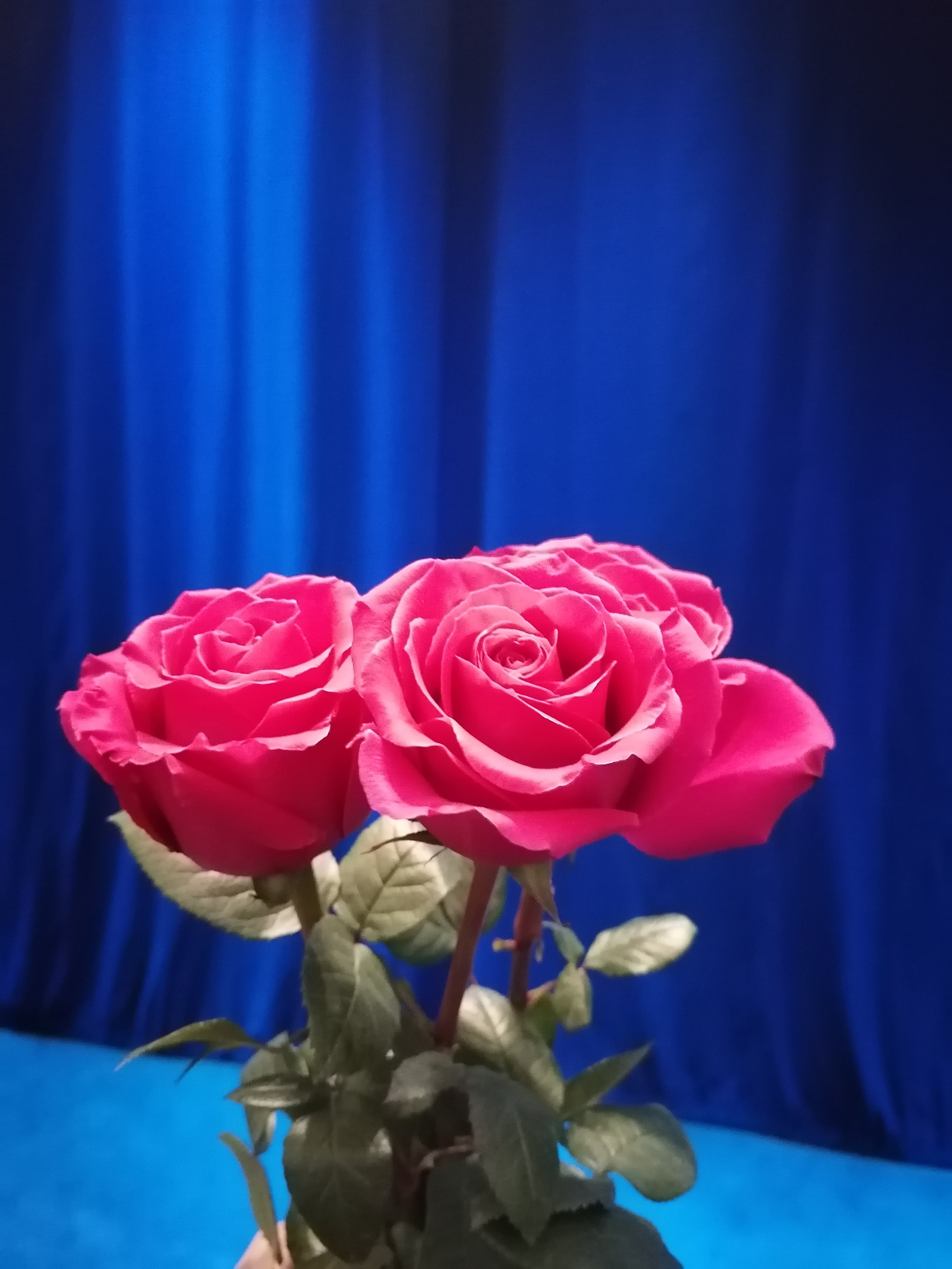 Обо мне. Денис Хрюкин, режиссёр, продюсер, контентмейкер, Санкт-Петербург, Москва