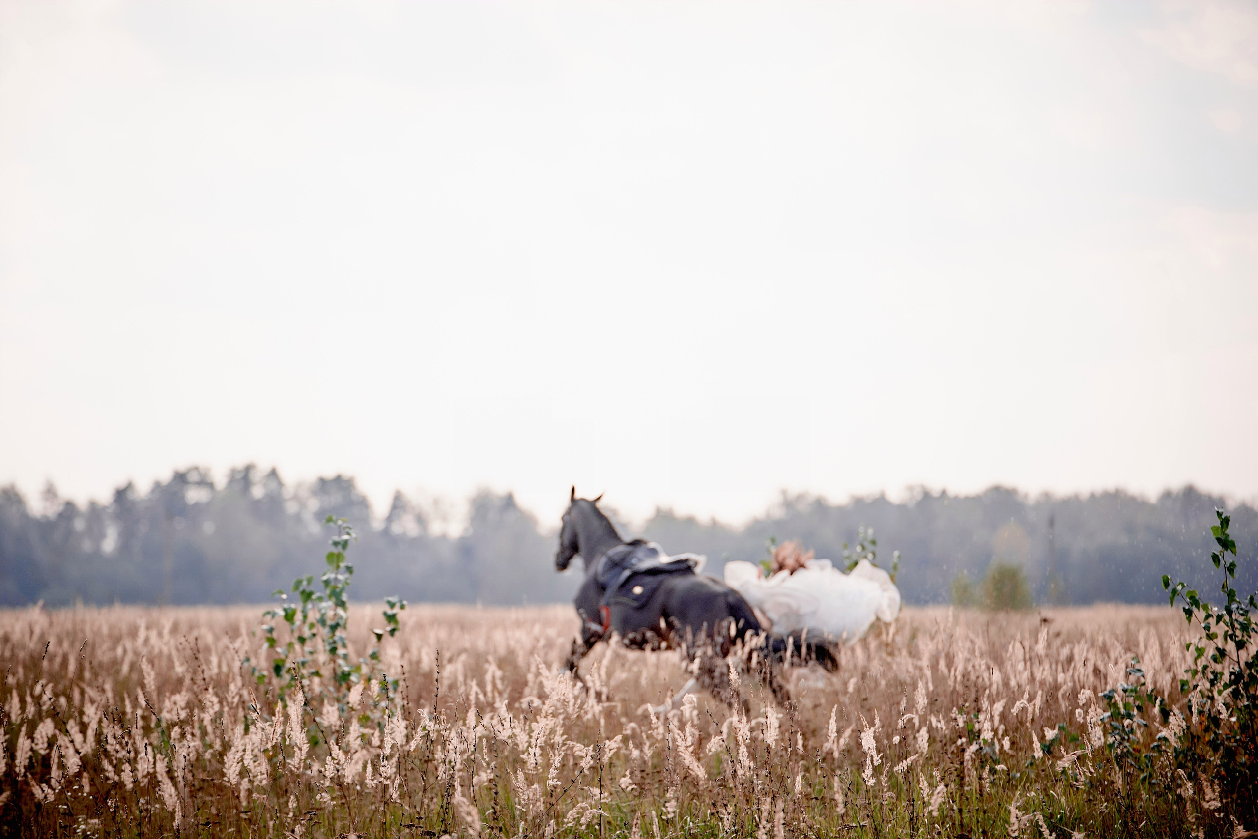 Love Story Дмитрия я Ирины