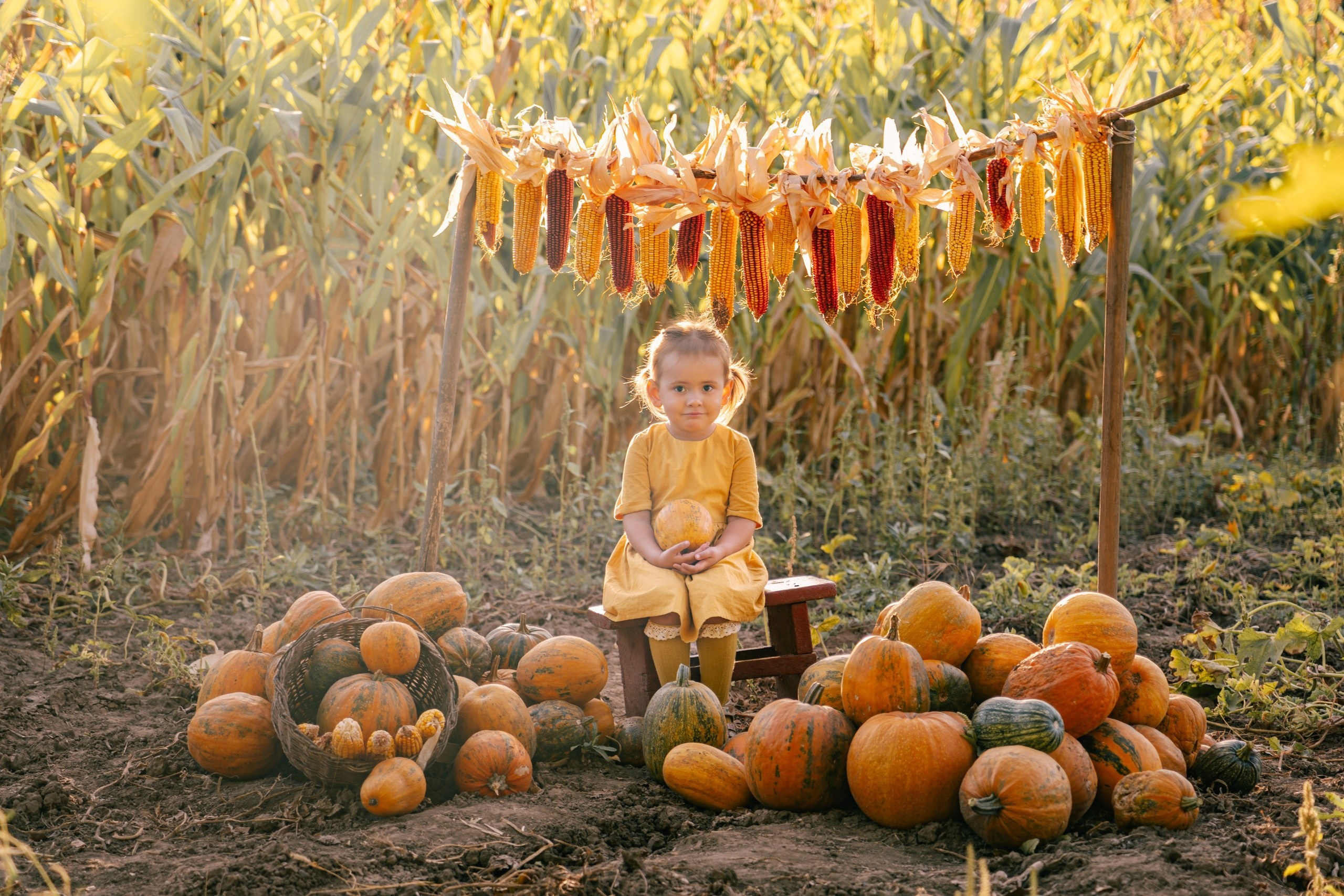 Детская фотосессия с оформлением локации, деревенская жизнь, девочка среди осеннего урожая кукурузы и тыкв.