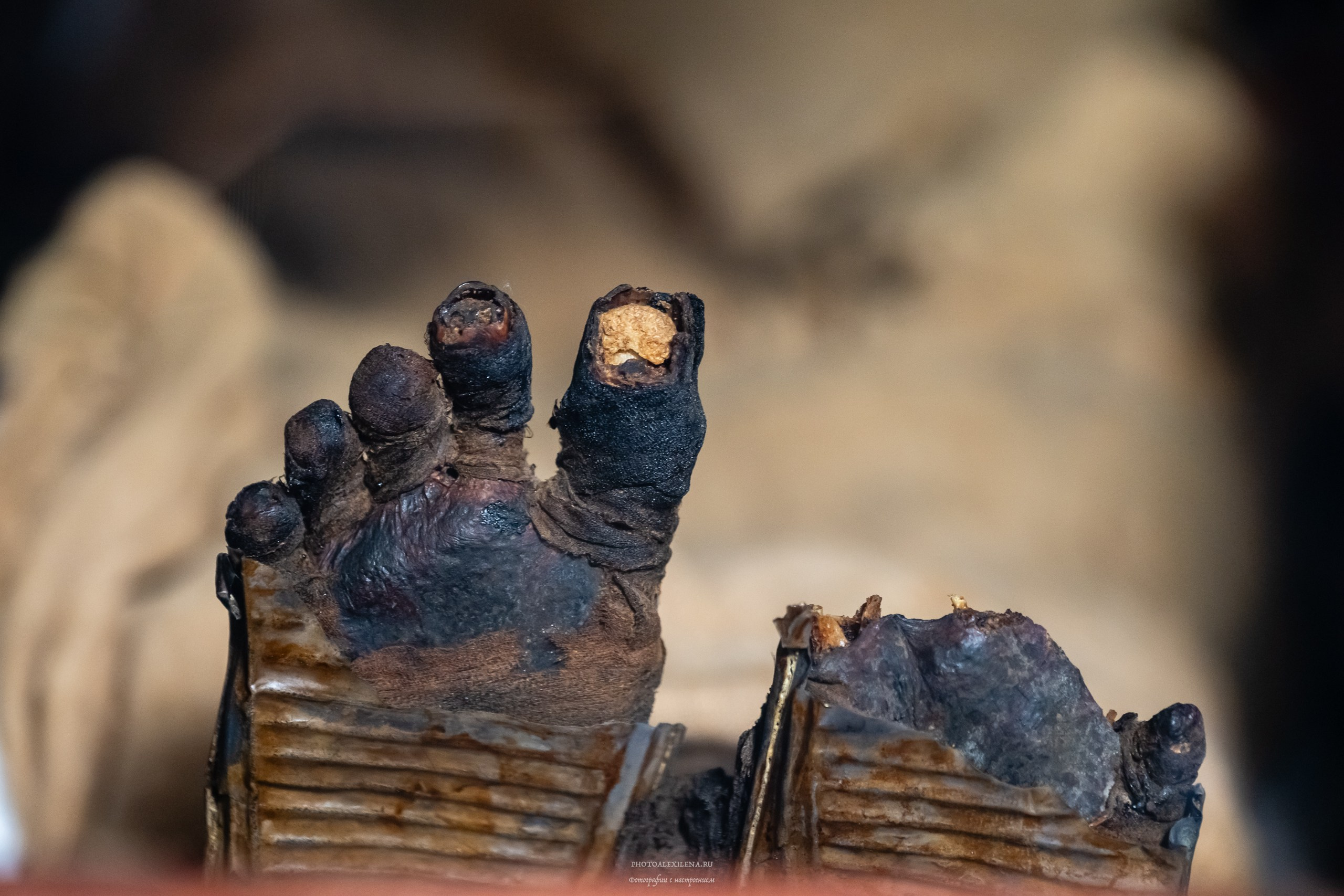 Каир самобытный и сумасшедший. Авторские стильные фотокартины