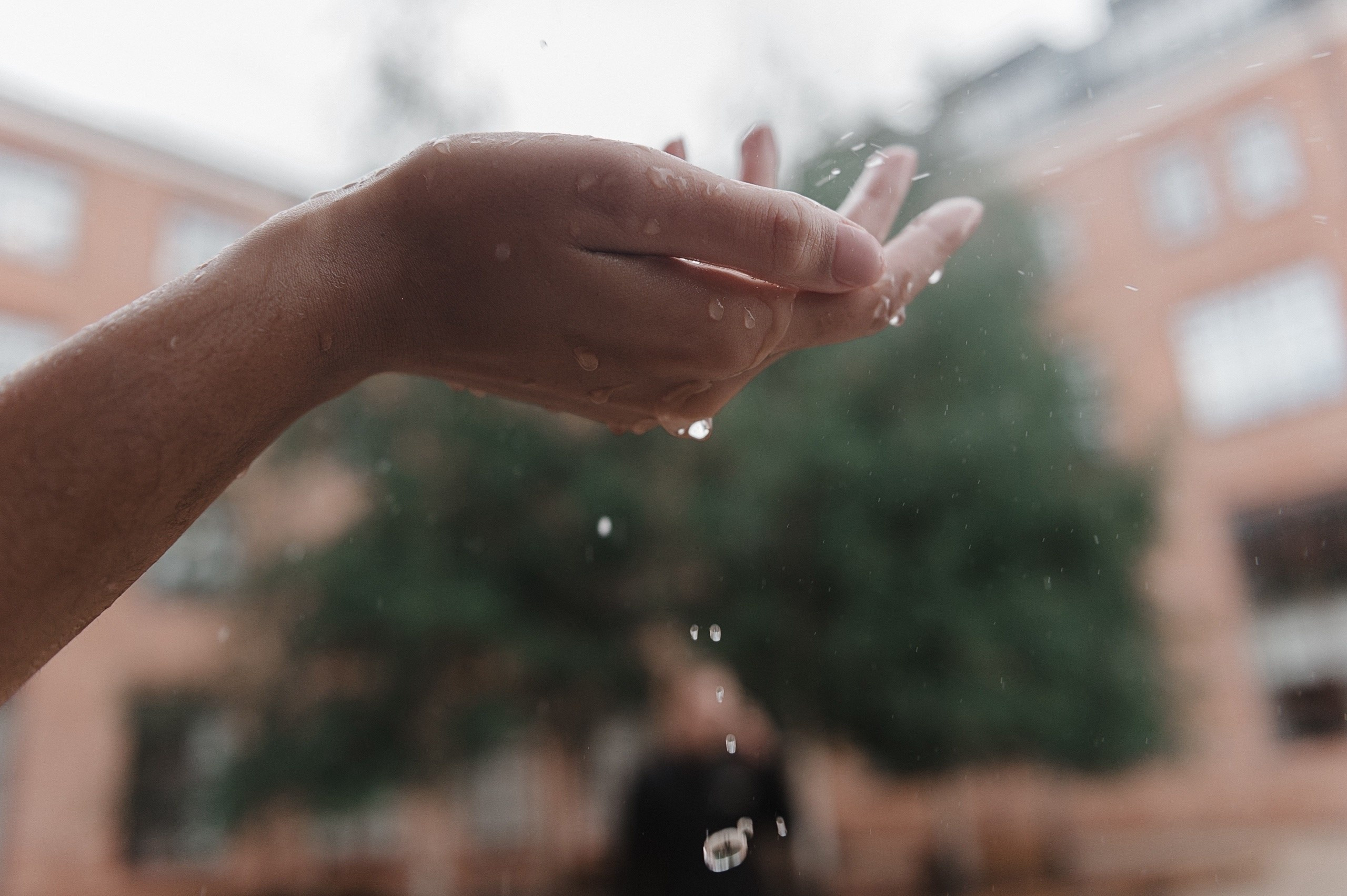 Дождь в свадебный день