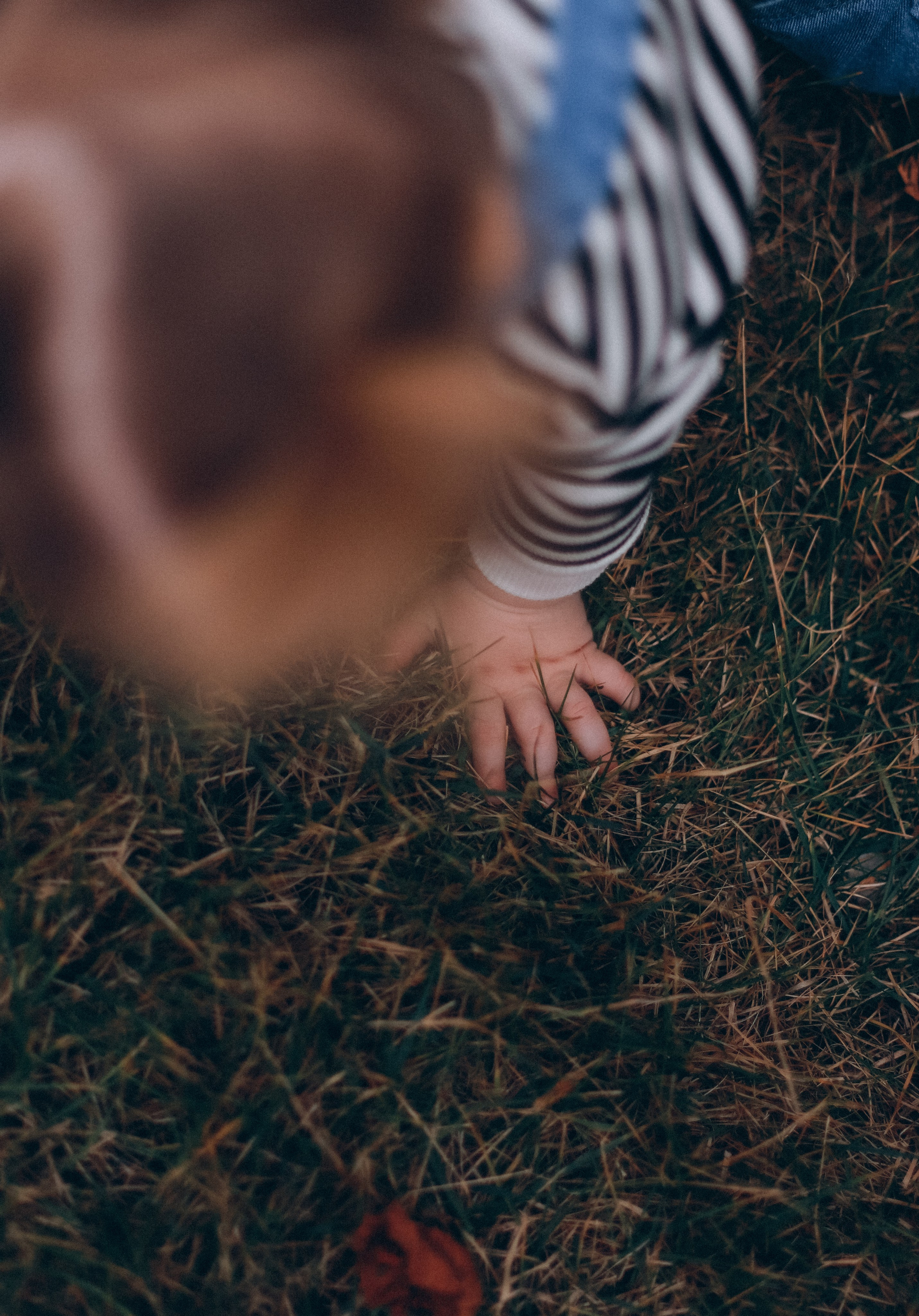 Ваш семейный фотограф в городе Армавир, Юлия Леонович