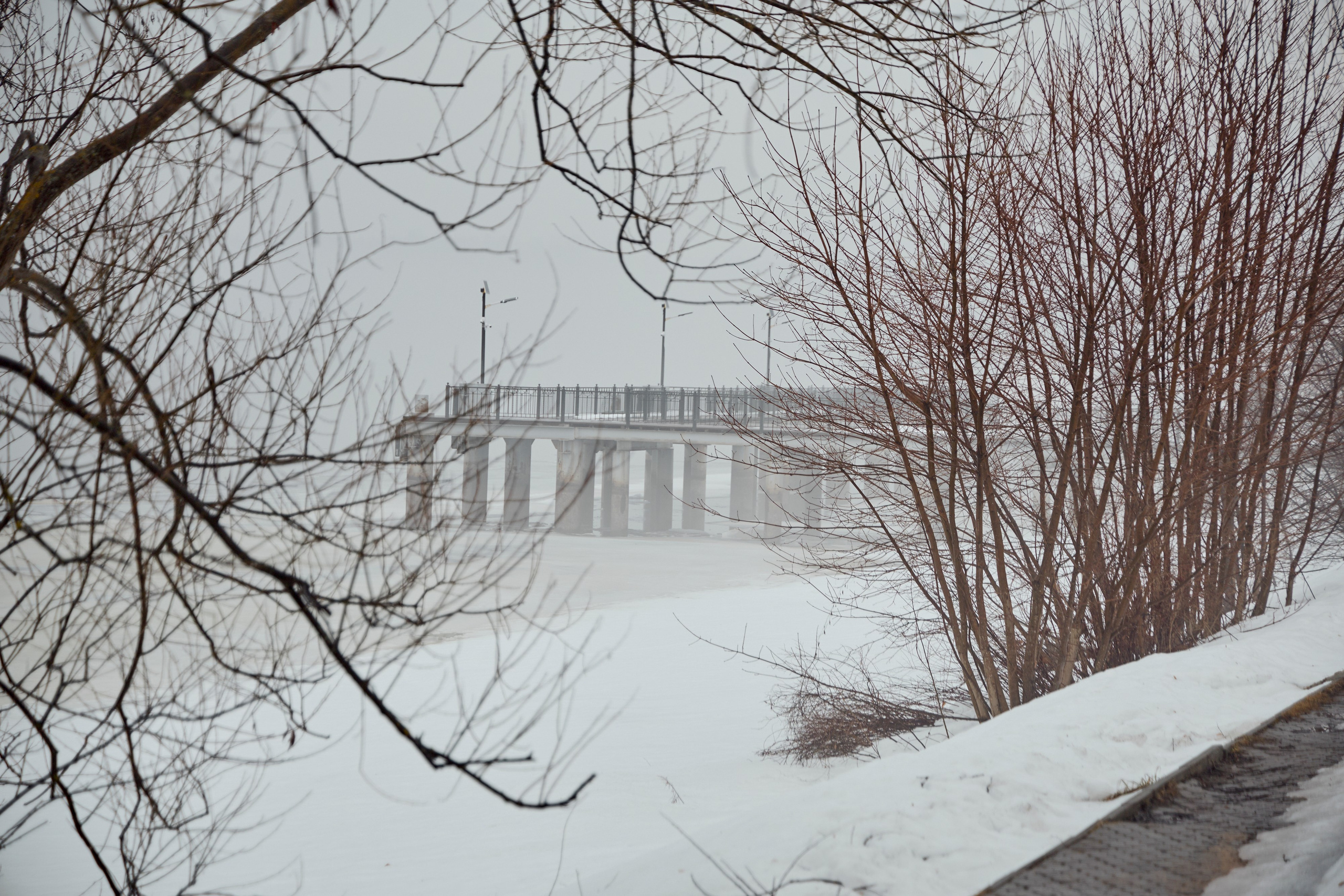Дискуссионный клуб «Попутного ветра» | Левитановский культурный центр. Плёс. OSPhoto