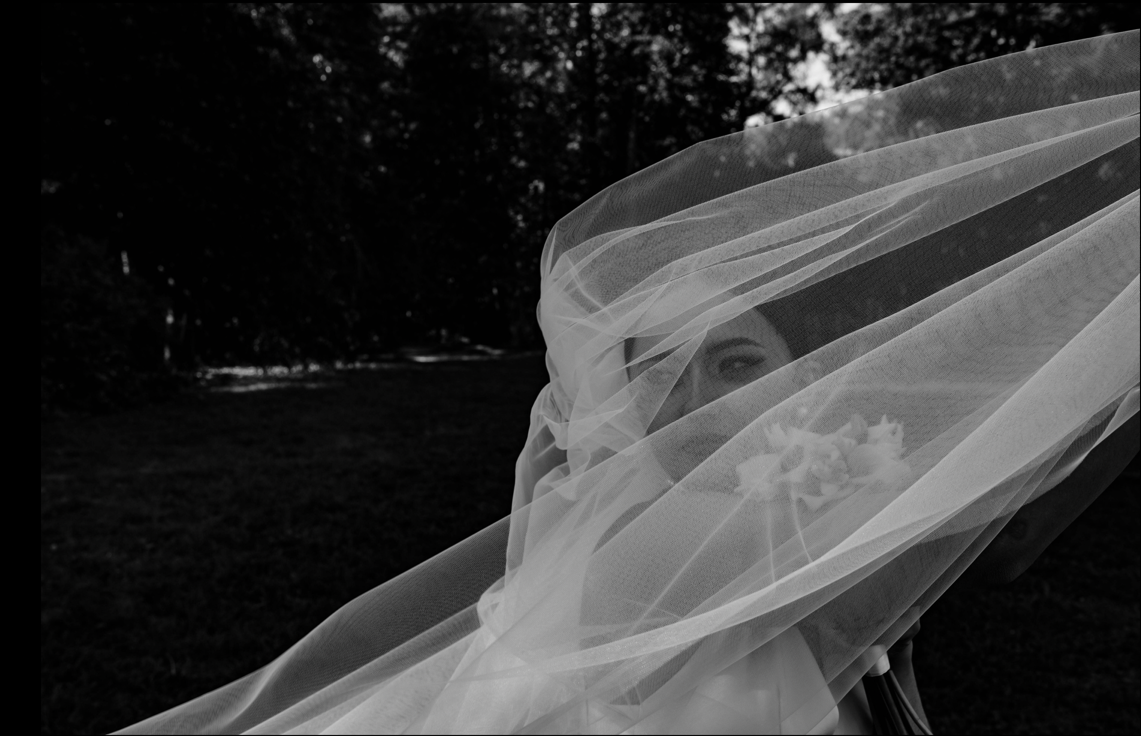 Профессиональный фотограф