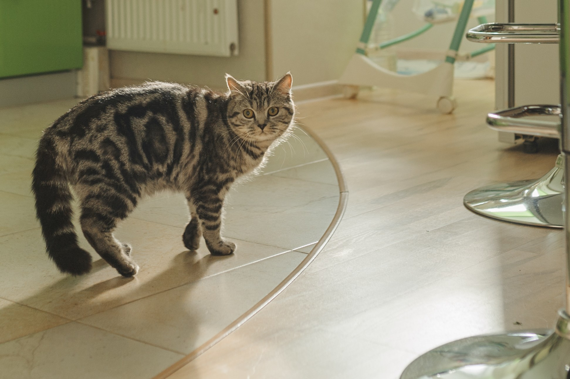 Домашняя фотосъемка. Дмитрий Черяник свадебный и семейный фотограф