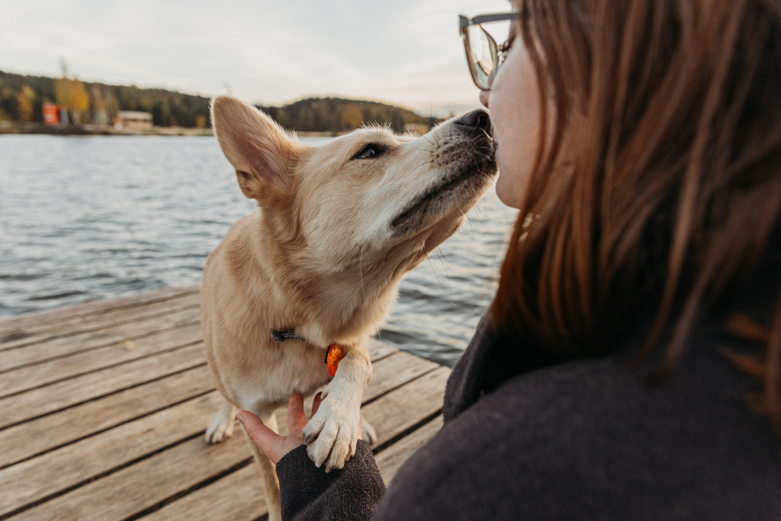Фотограф-анималист в Москве Соломонова Варвара