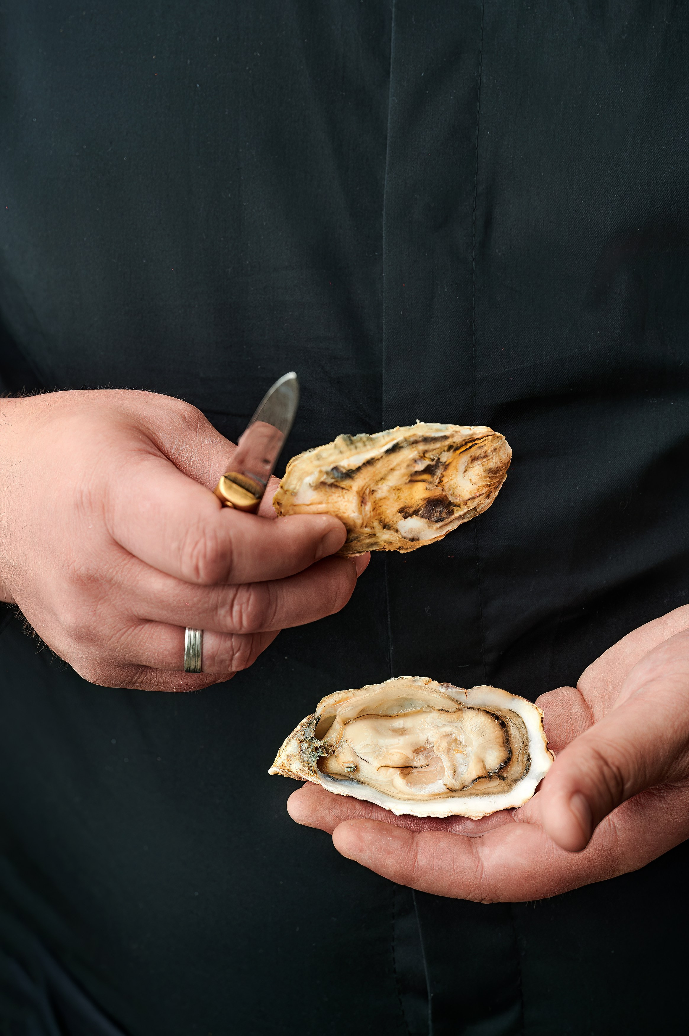 Food фотография