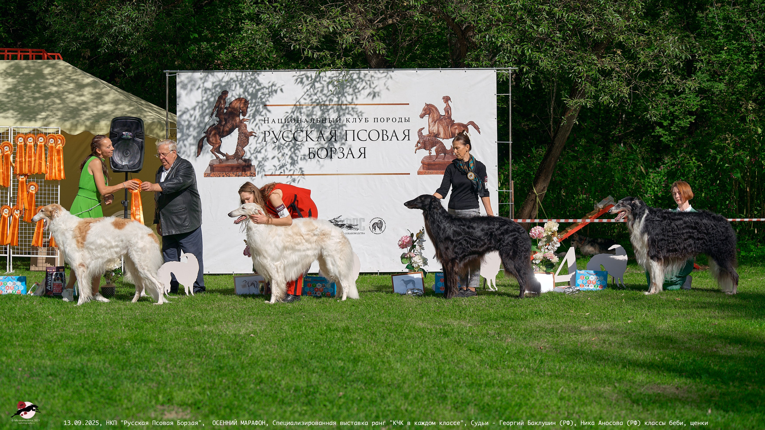 ОСЕННИЙ МАРАФОН | Специализированная выставка породы Русская Псовая Борзая ранг "КЧК в каждом классе"