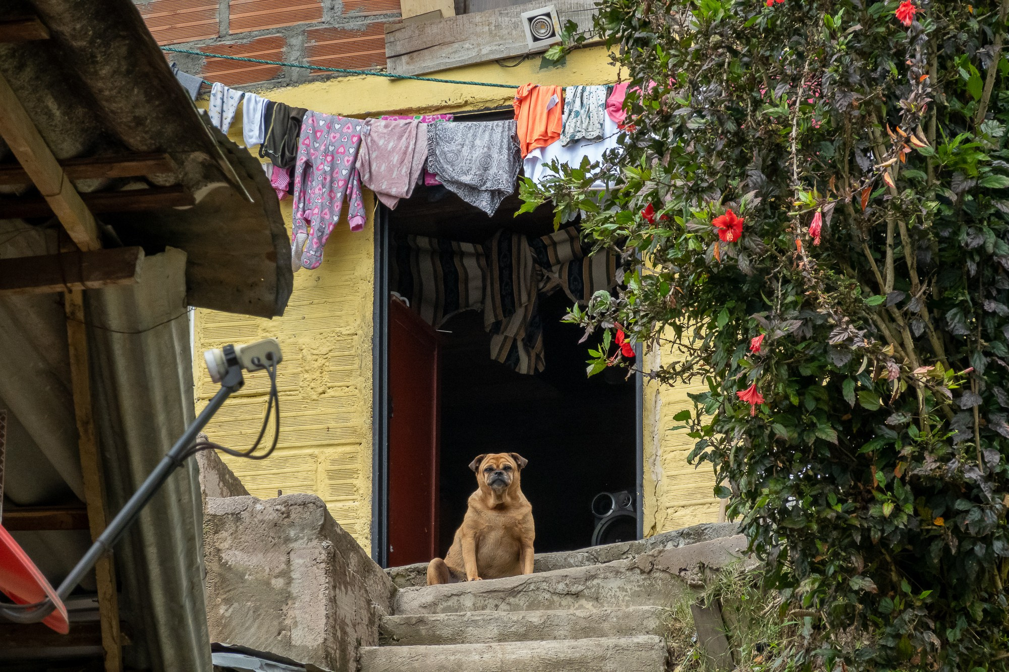 Колумбия Медельин. Colombia Medellin. Фотограф Алексей Скоробогатько