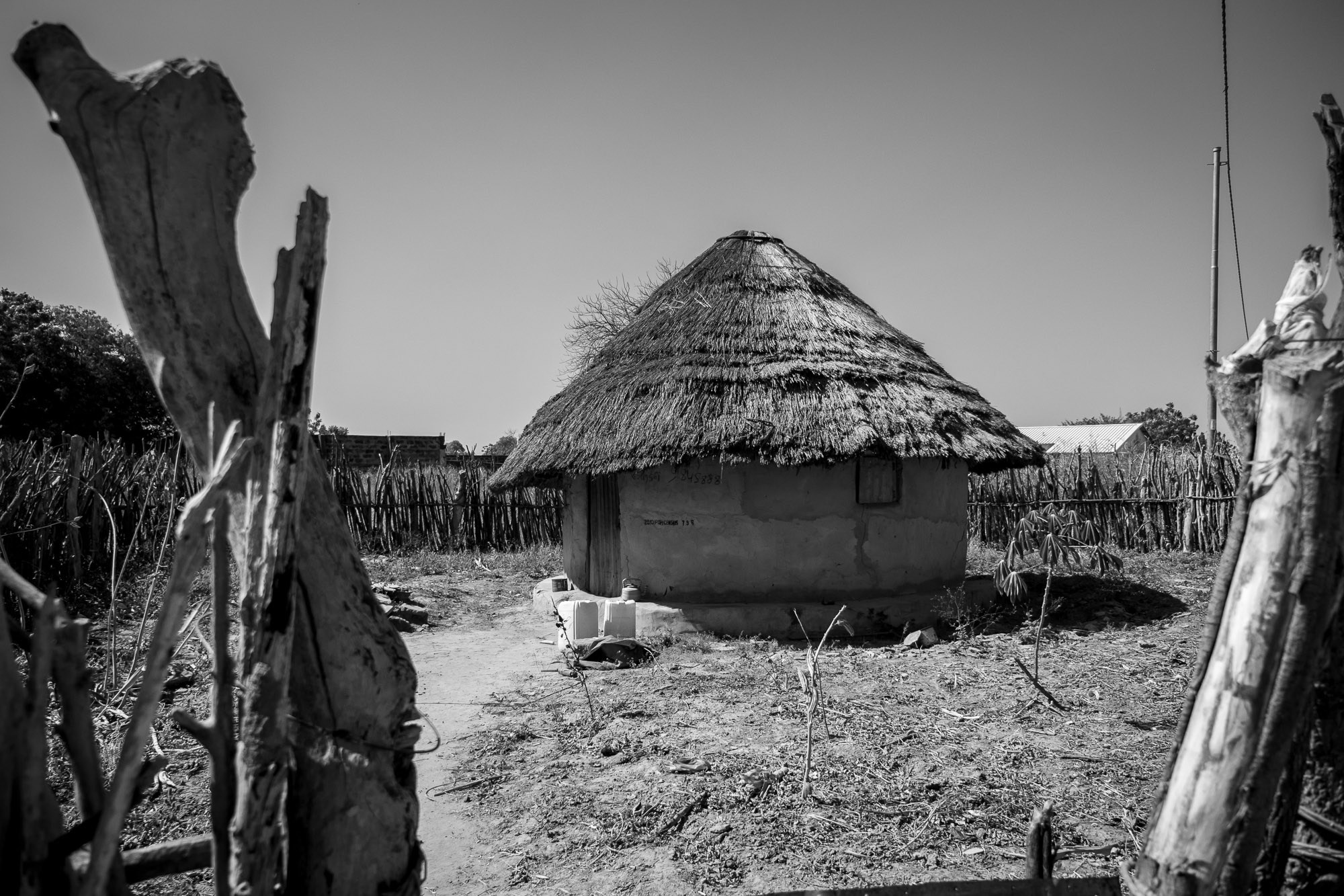 Путешествие по Гамбии (Западная Африка).Traveling in Gambia (West Africa.). Фотограф Алексей Скоробогатько