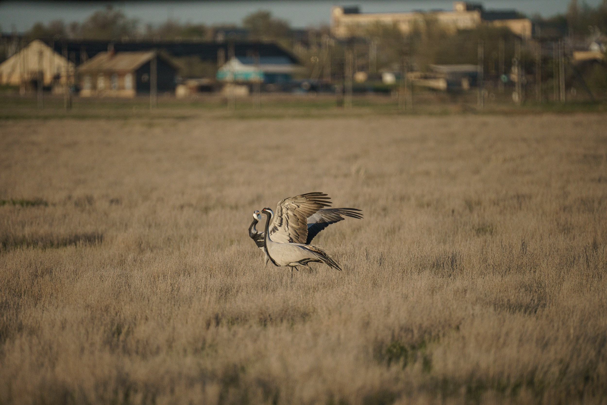Учебный фототур на Эльтон. Июнь