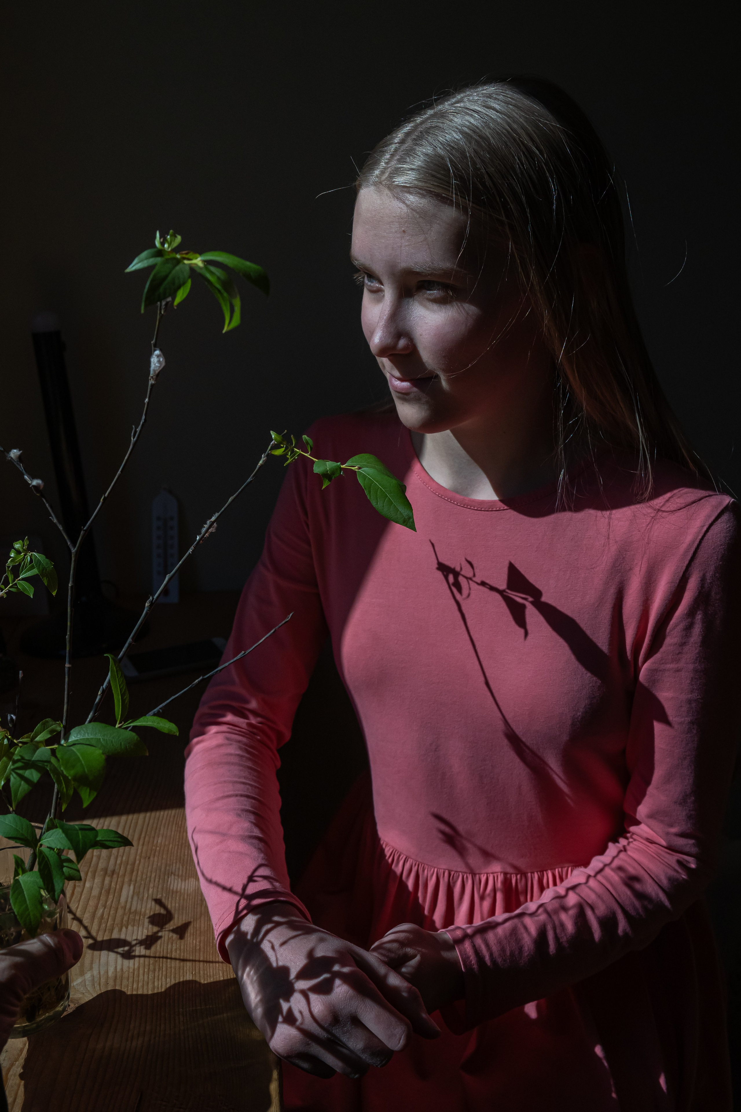 Dimitri Bakhtadze, arkadiy. Dimitri Bakhtadze photographer