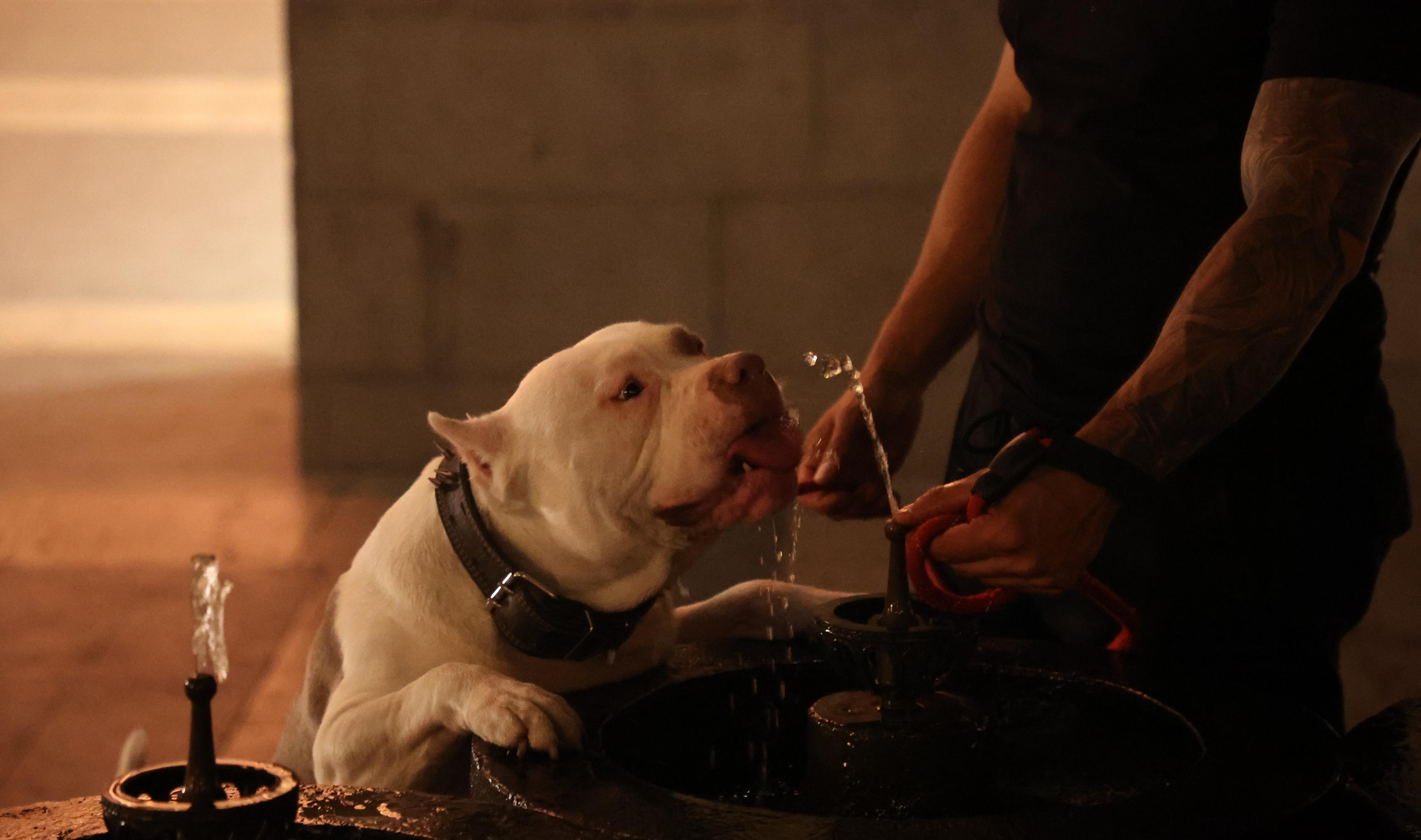 Armenia. Andrey Filippov Photographer