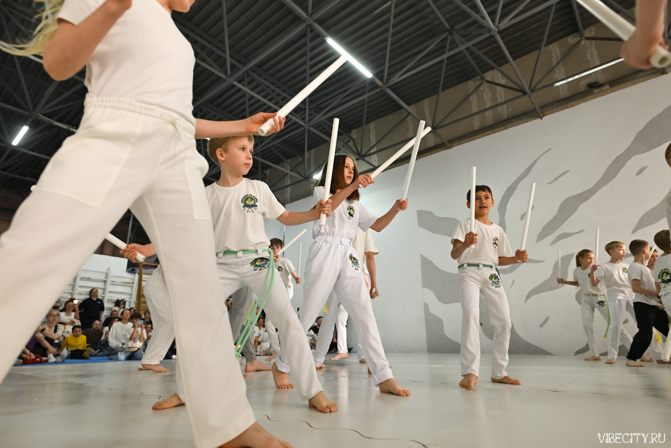 Capoeira: 4-е batizado e Troca de cordao. VIBECITY.RU Вайб Сити Ру Фоторепортажи Фотоотчеты Калининград