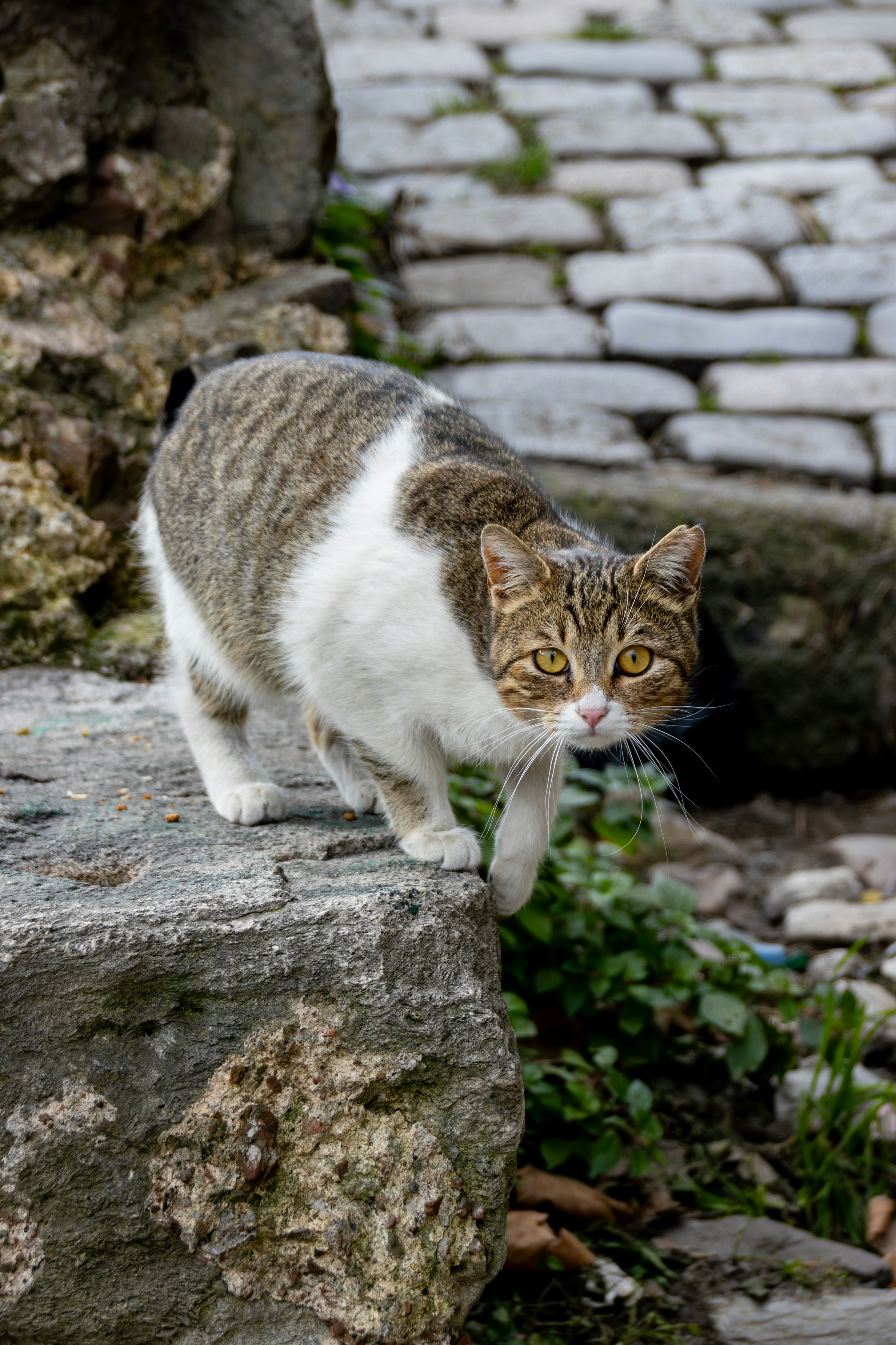 Фотограф в Санкт-Петербурге Георгий Елецких