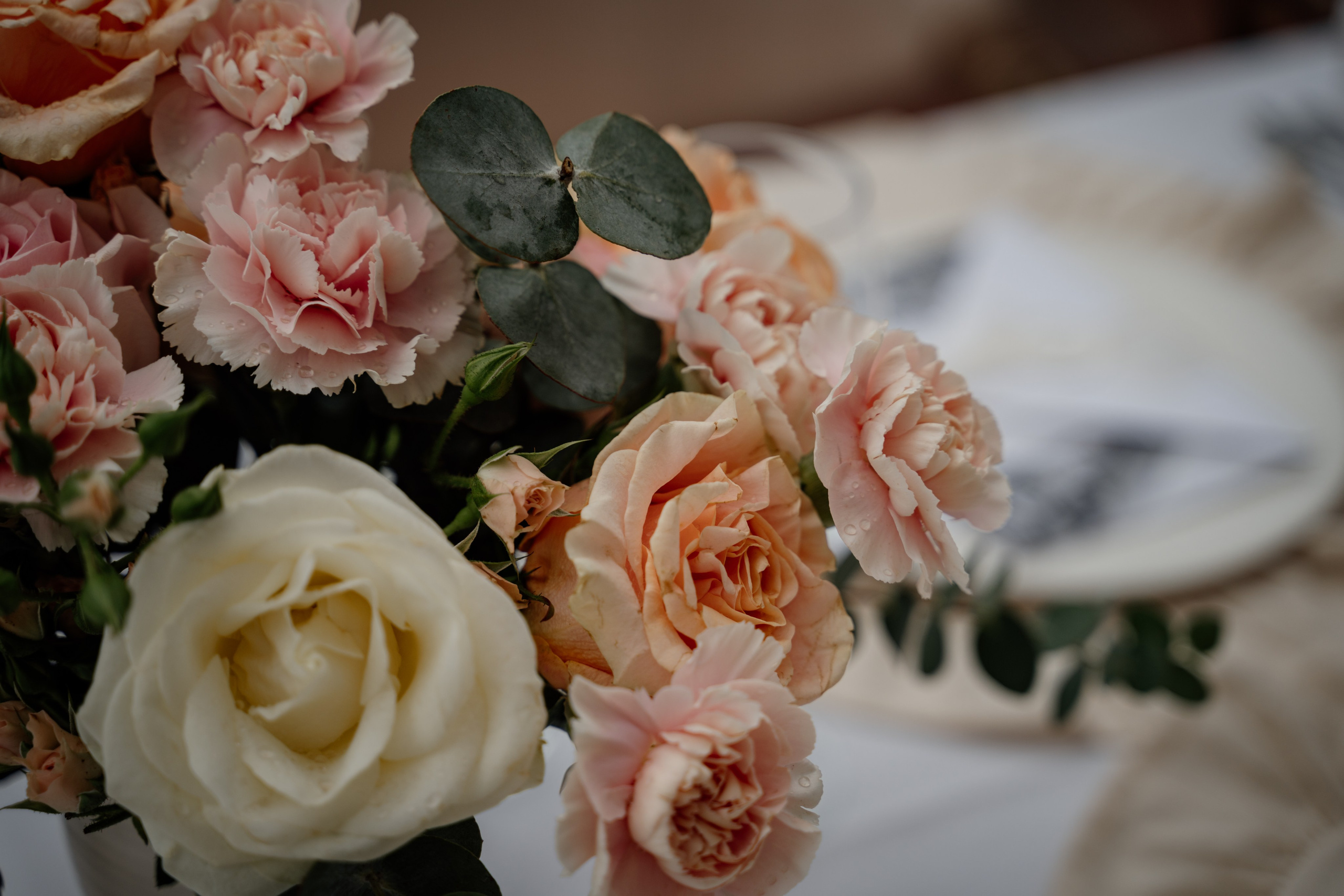 Celebrate Love with Montenegro’s Top Wedding Photographer. Photographer in Montenegro | Фотограф в Черногории