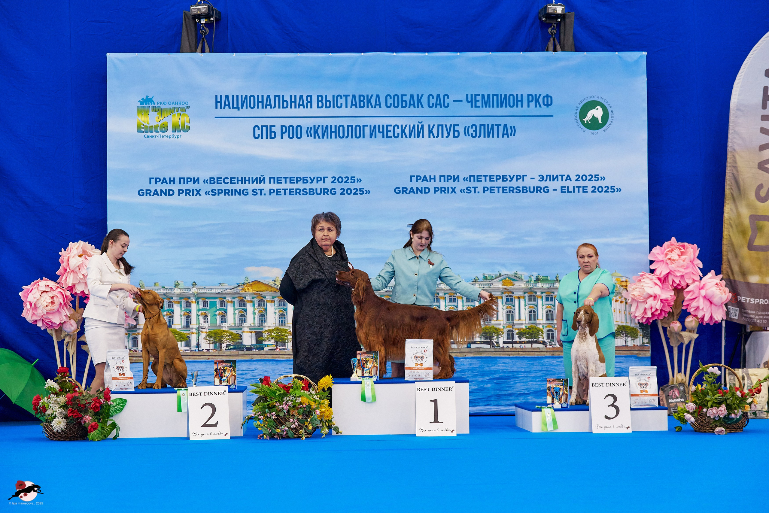 ГРАН ПРИ «ВЕСЕННИЙ ПЕТЕРБУРГ» & «СУПЕР КУБОК «ЭЛИТЫ»-2025»