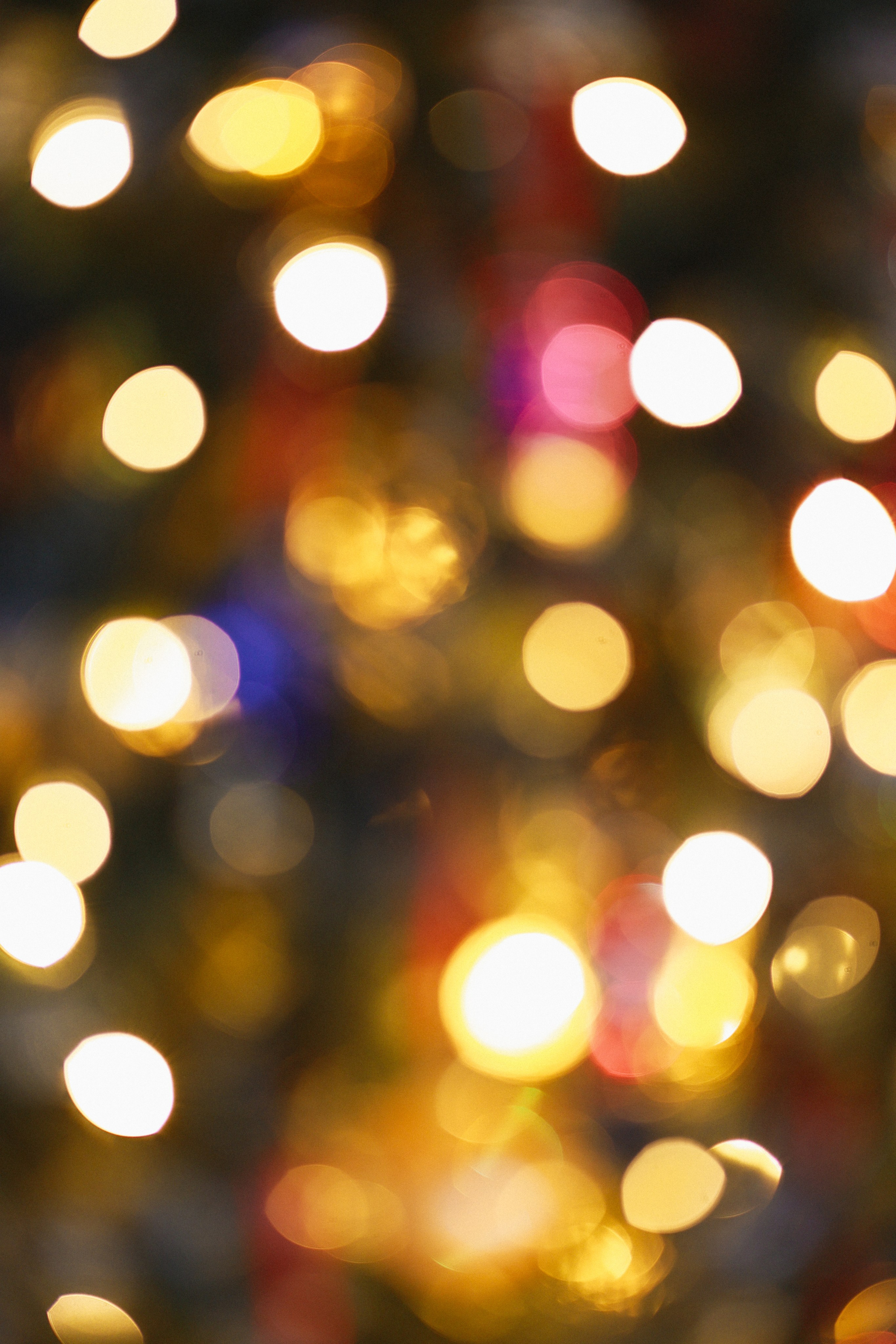 Контент фотосессия в Москве. Мария Рослякова. Портретный и семейный фотограф в Москве Мария Рослякова