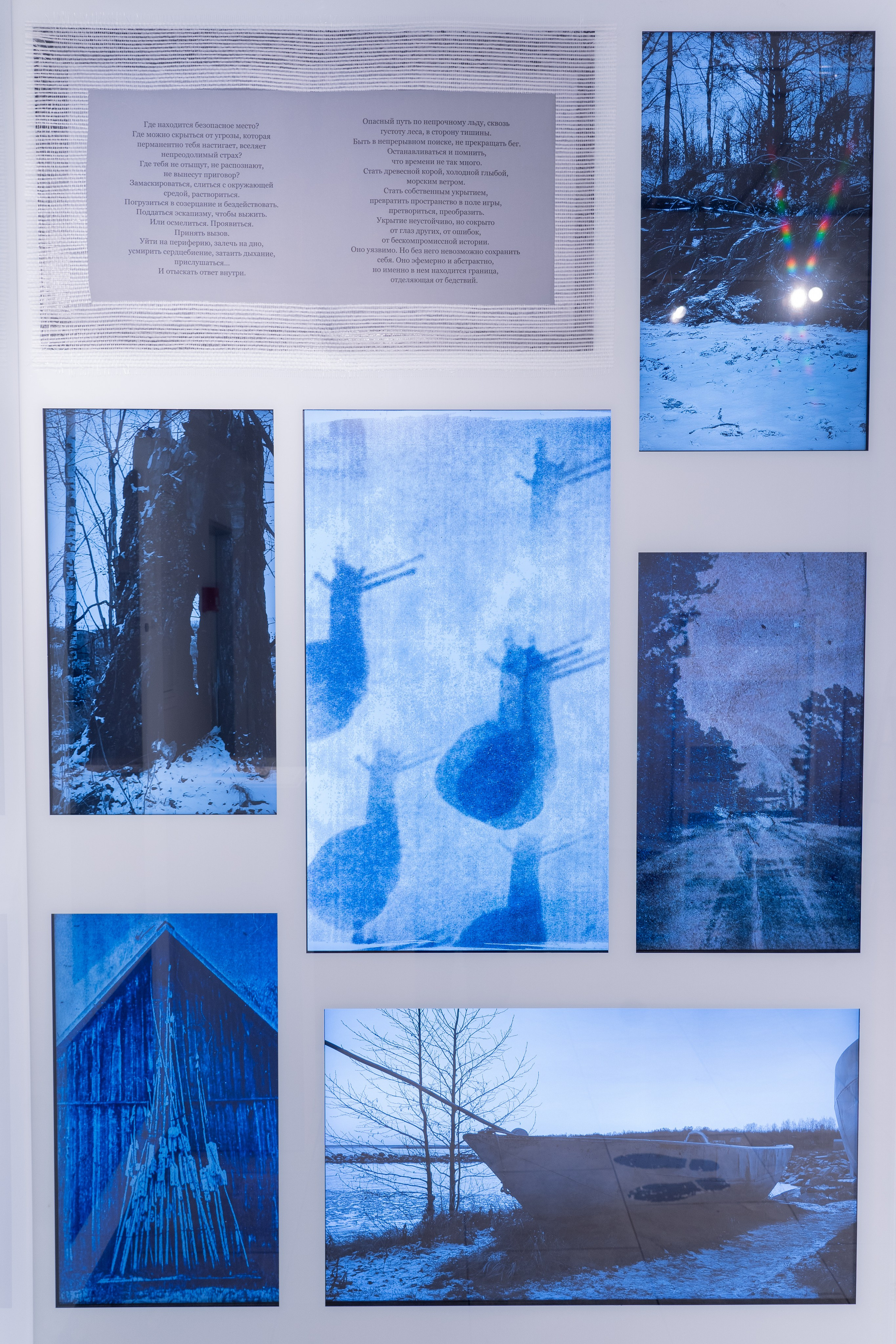 Укрытие. Катрин Эдельвак