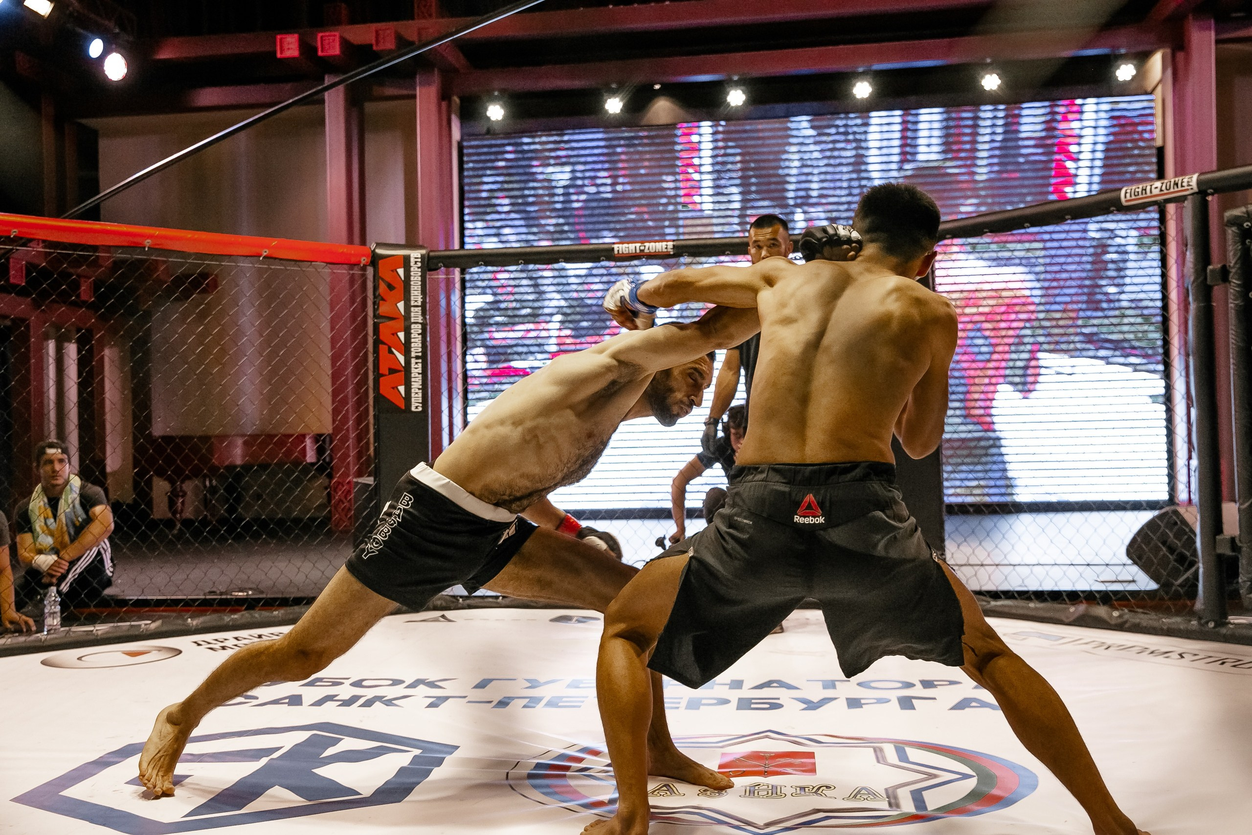 Боец делает удар в лицо в октагоне MMA репортажная фотография