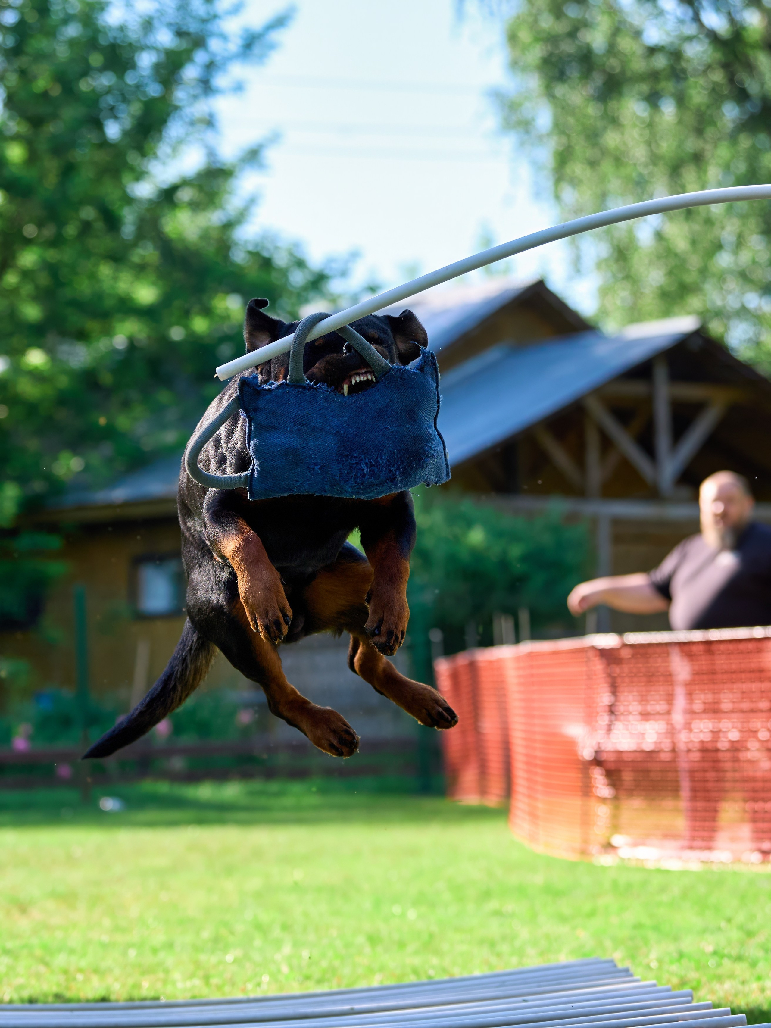 Двухдневные соревнования «Jump'n'Gym Fest — 2024». Фотограф-анималист Михаил Манухин