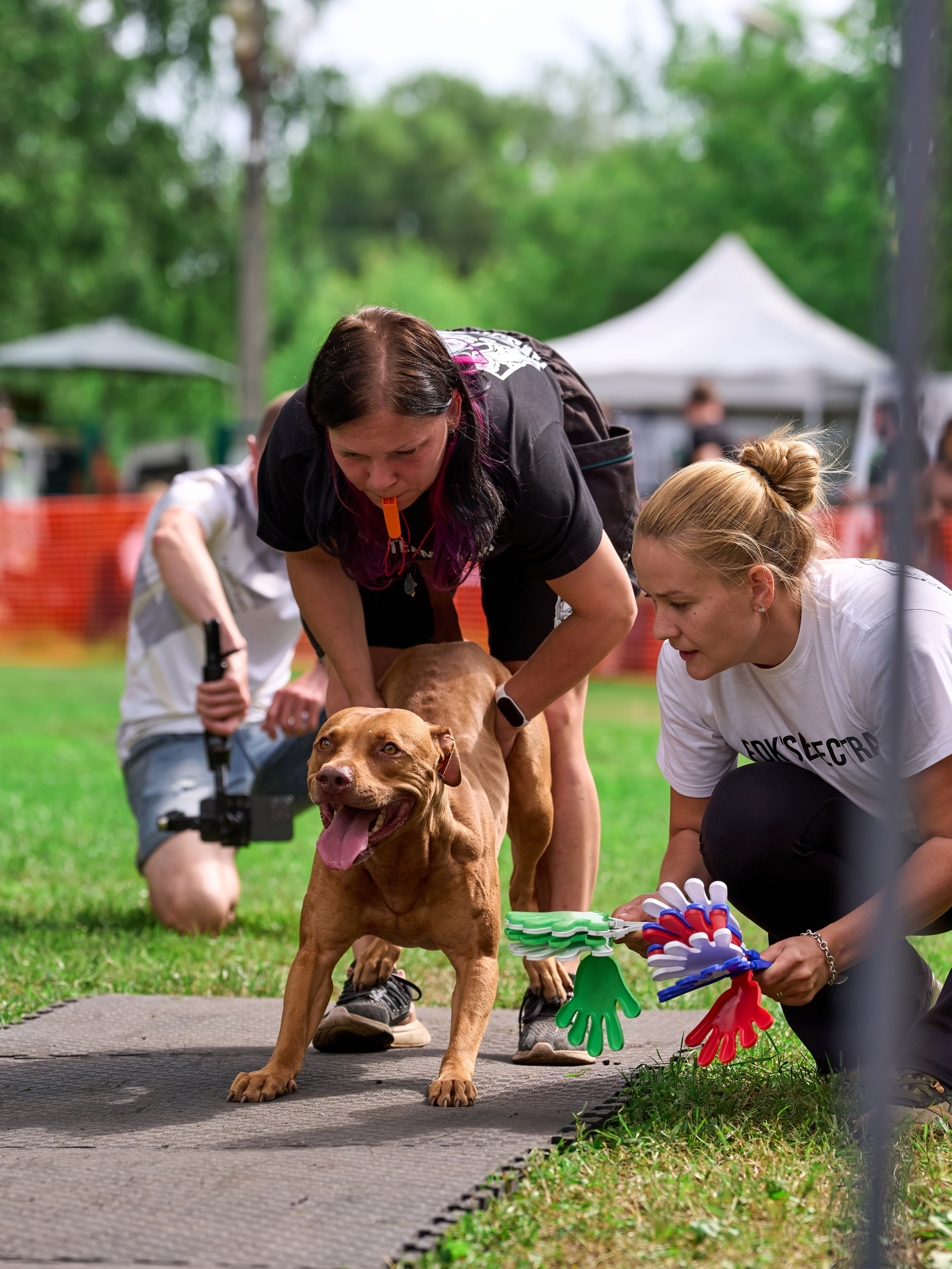 Двухдневные соревнования «Jump'n'Gym Fest — 2024». Фотограф-анималист Михаил Манухин