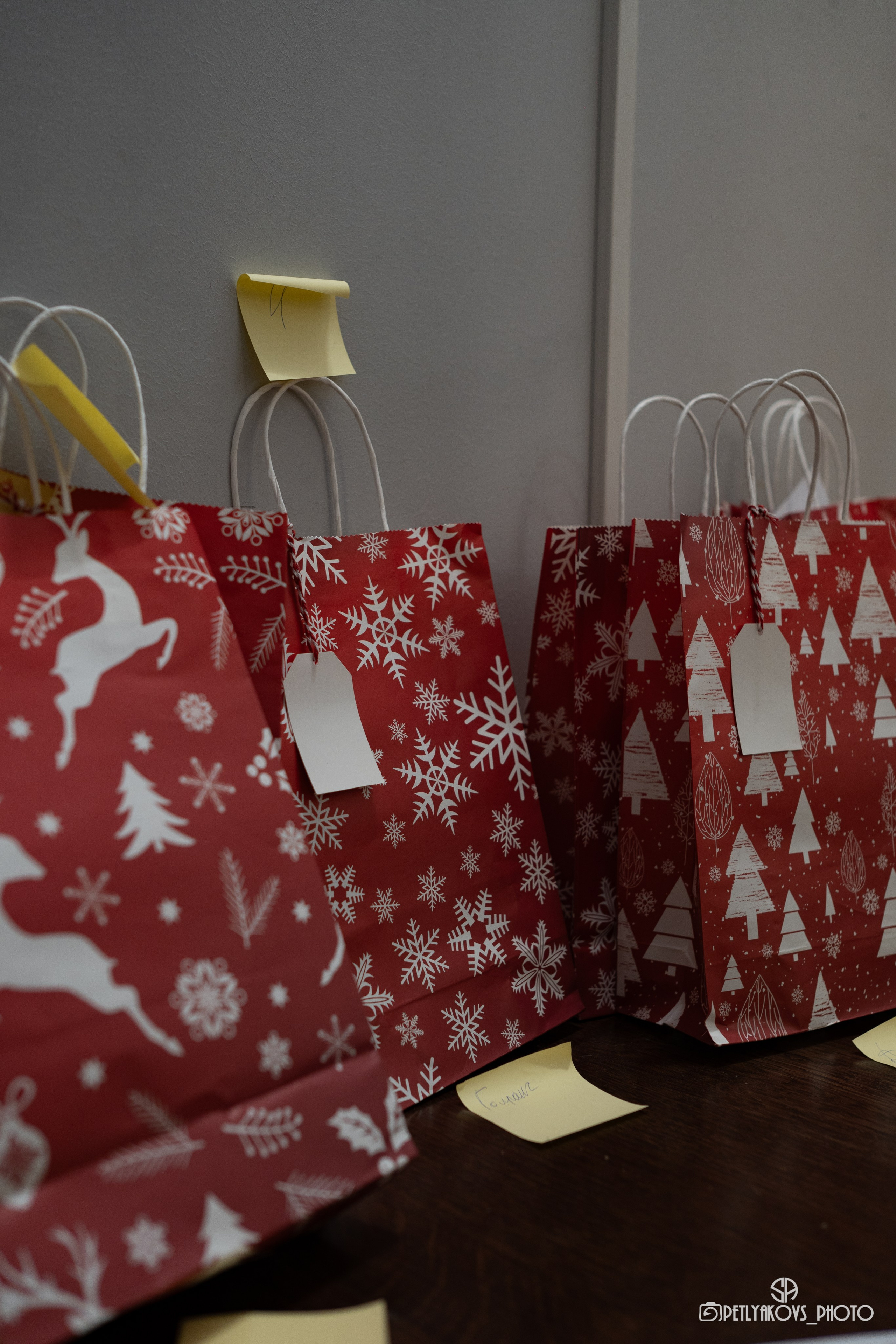 Отчётный концерт LEVITA. Фотограф, видеограф Пятигорск, Ставрополь, Ессентуки, Petlyakovs_photo