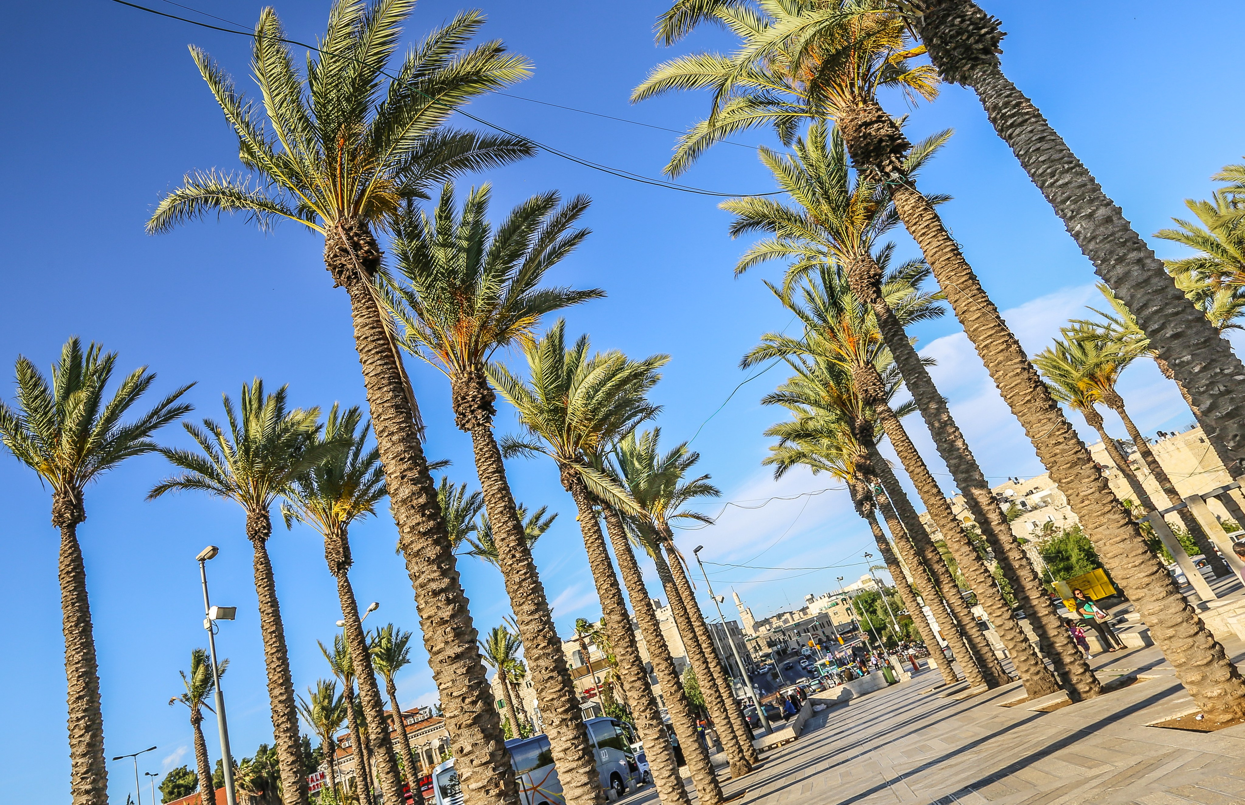 Израиль: «Под небом голубым есть город золотой…». Дарья Письменюк / Darya Leitstern — фотограф, музыкант, журналист, путешественник