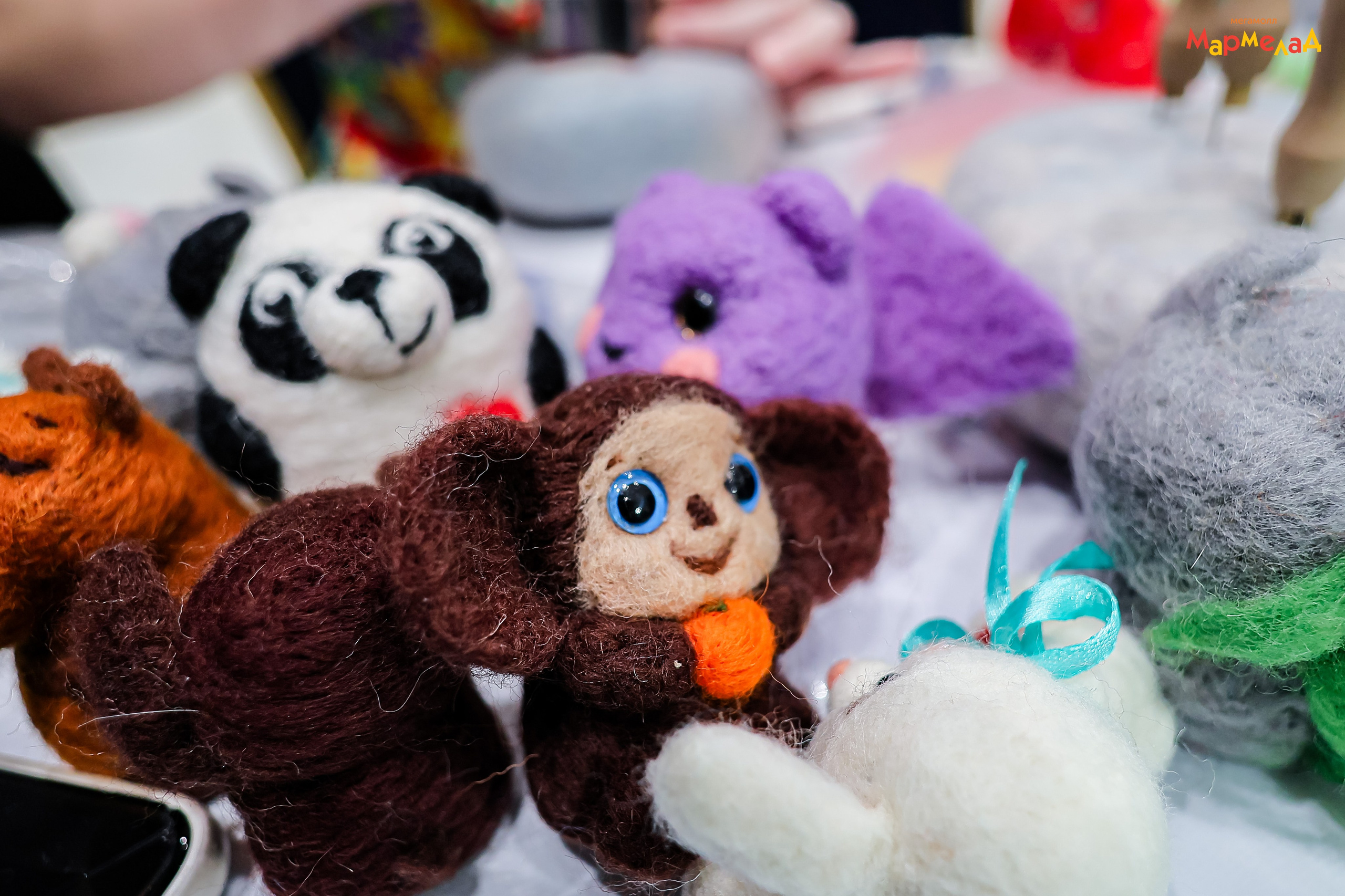 14.02 Любовь без границ в Мегамолл Мармелад. Команда специалистов в мире фотографии и видео. Детский фотограф, семейный фотограф