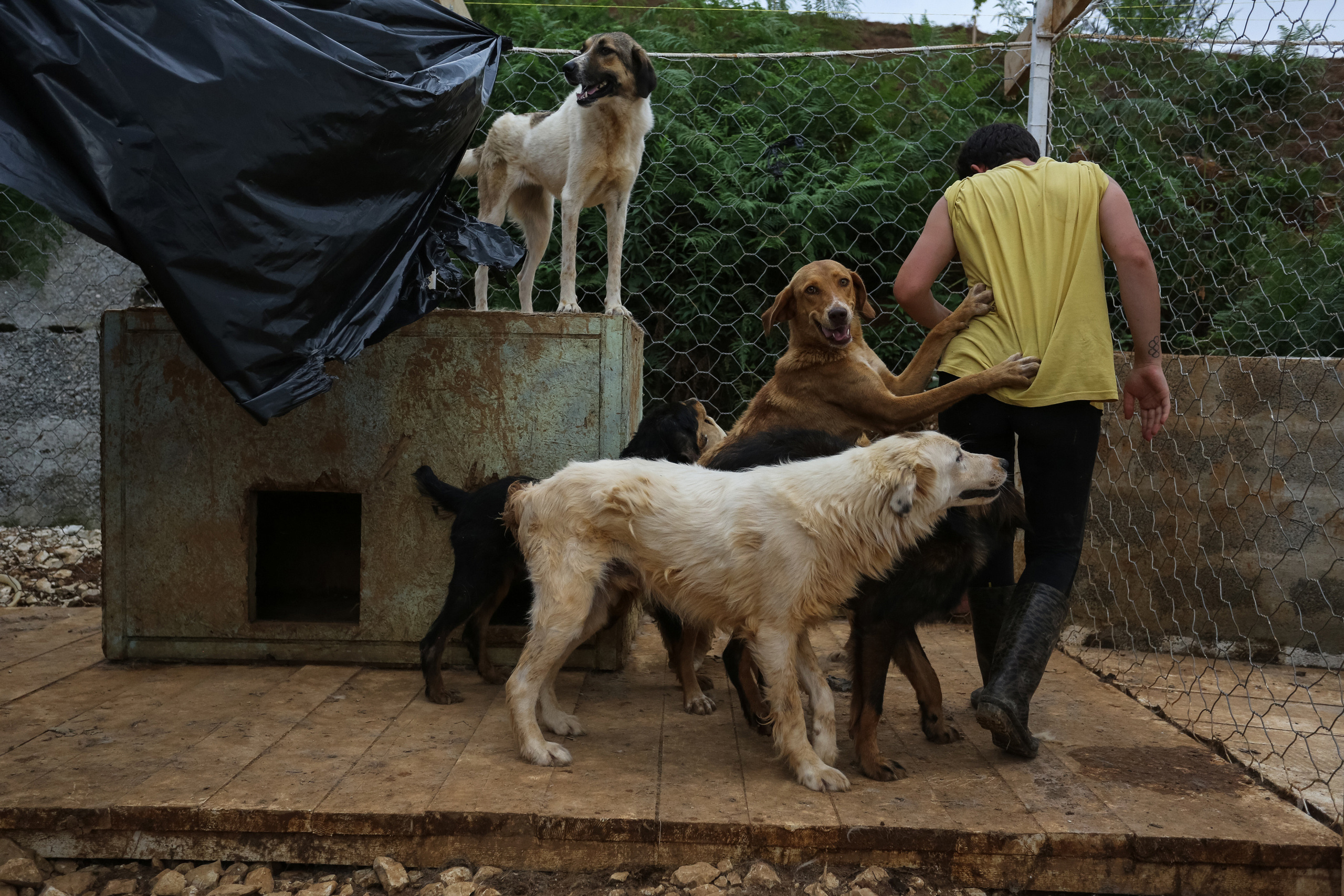 Ar Idardo. Marina Doctorova