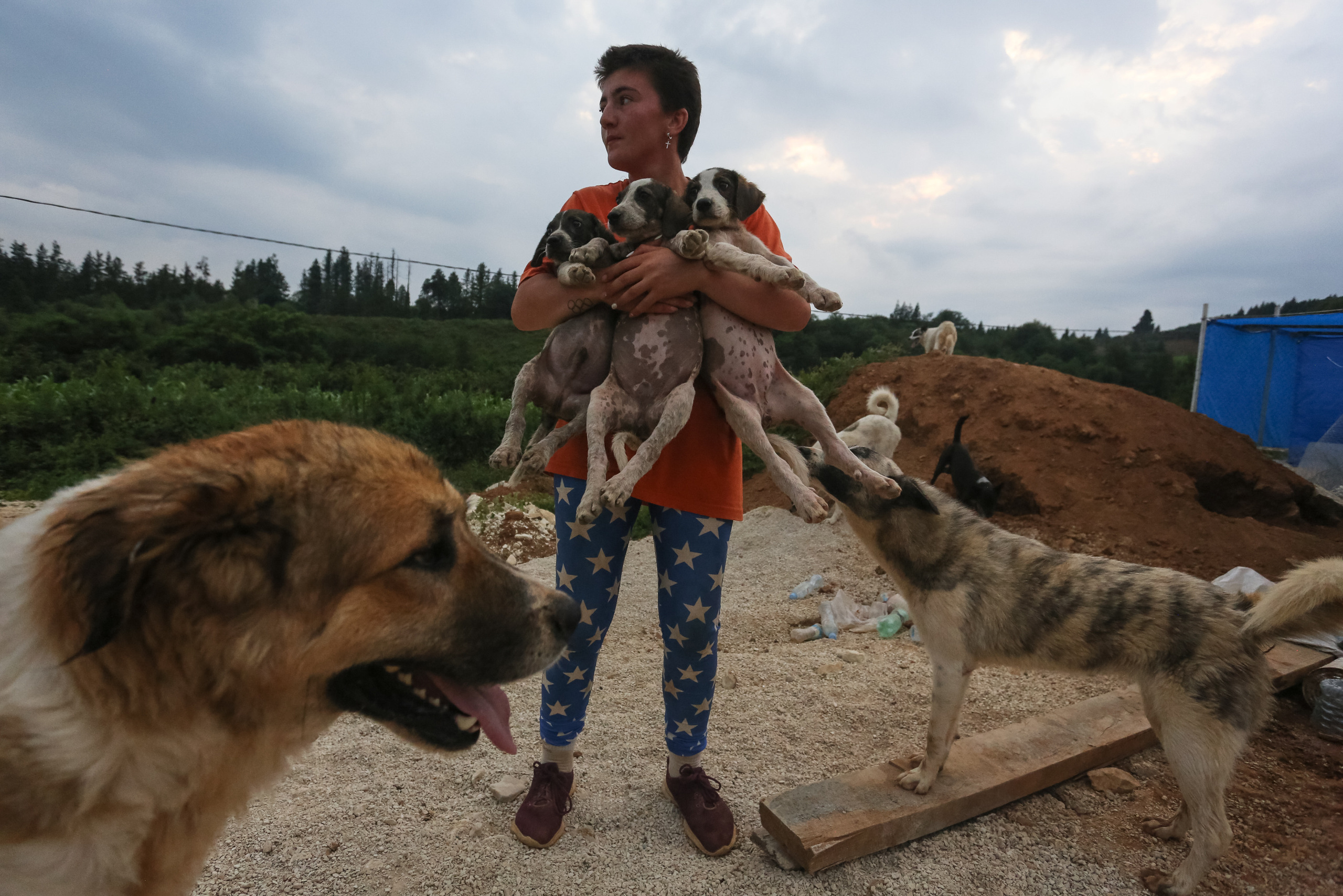 Ar Idardo. Marina Doctorova