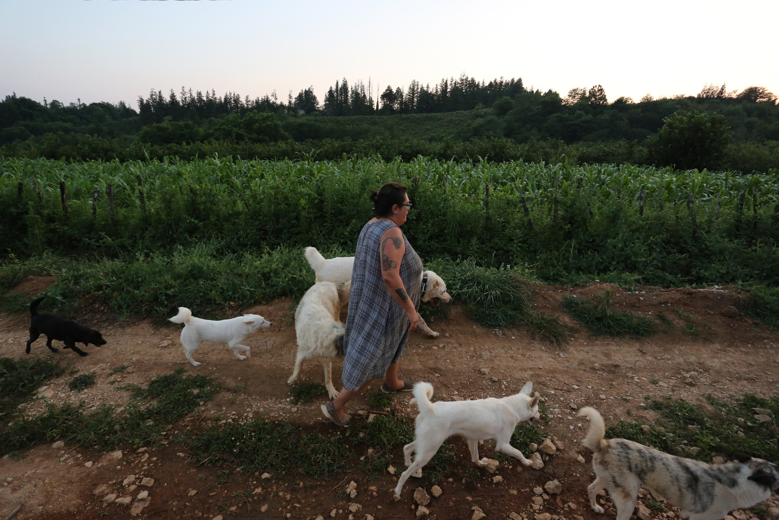 Ar Idardo. Marina Doctorova