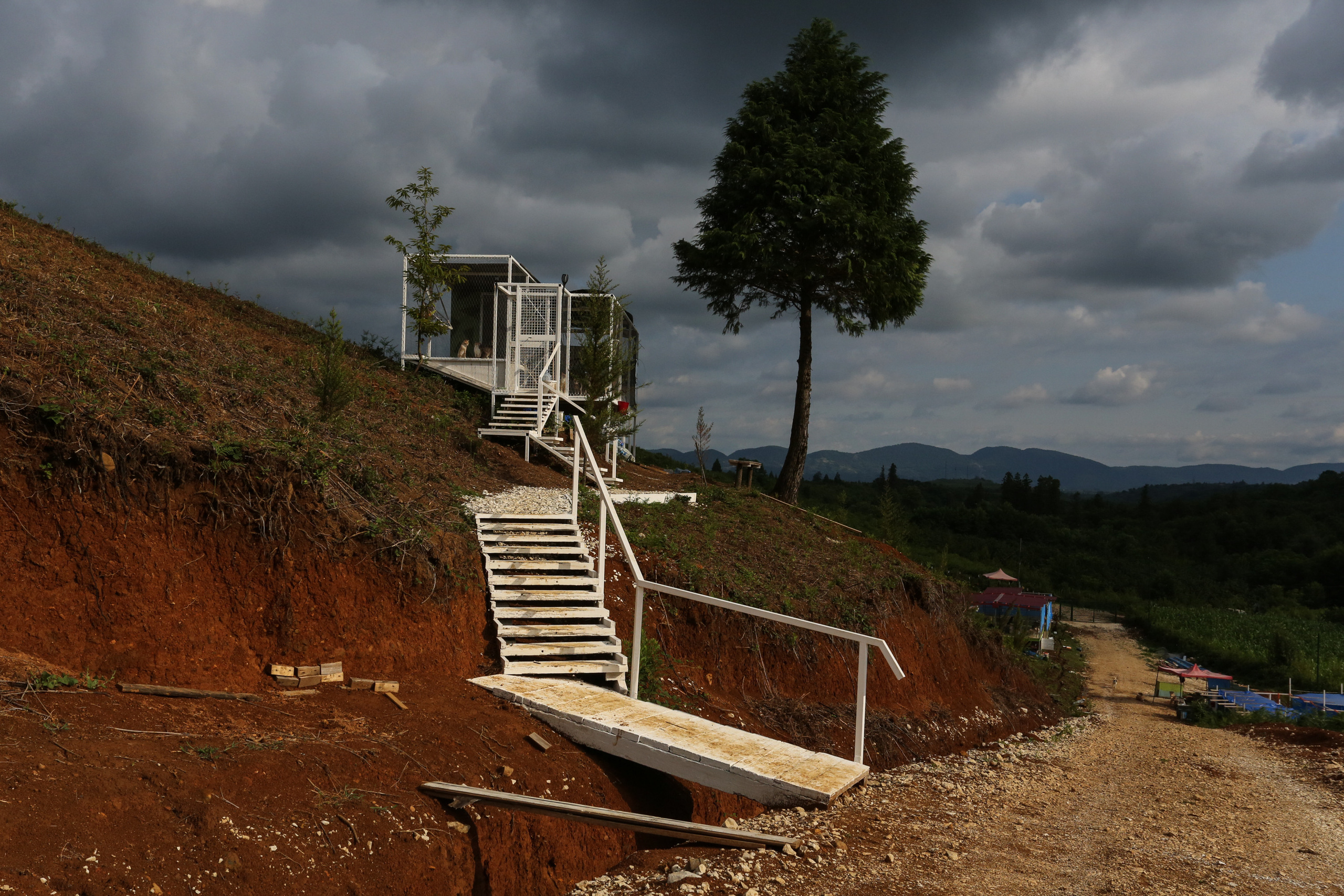 Ar Idardo. Marina Doctorova