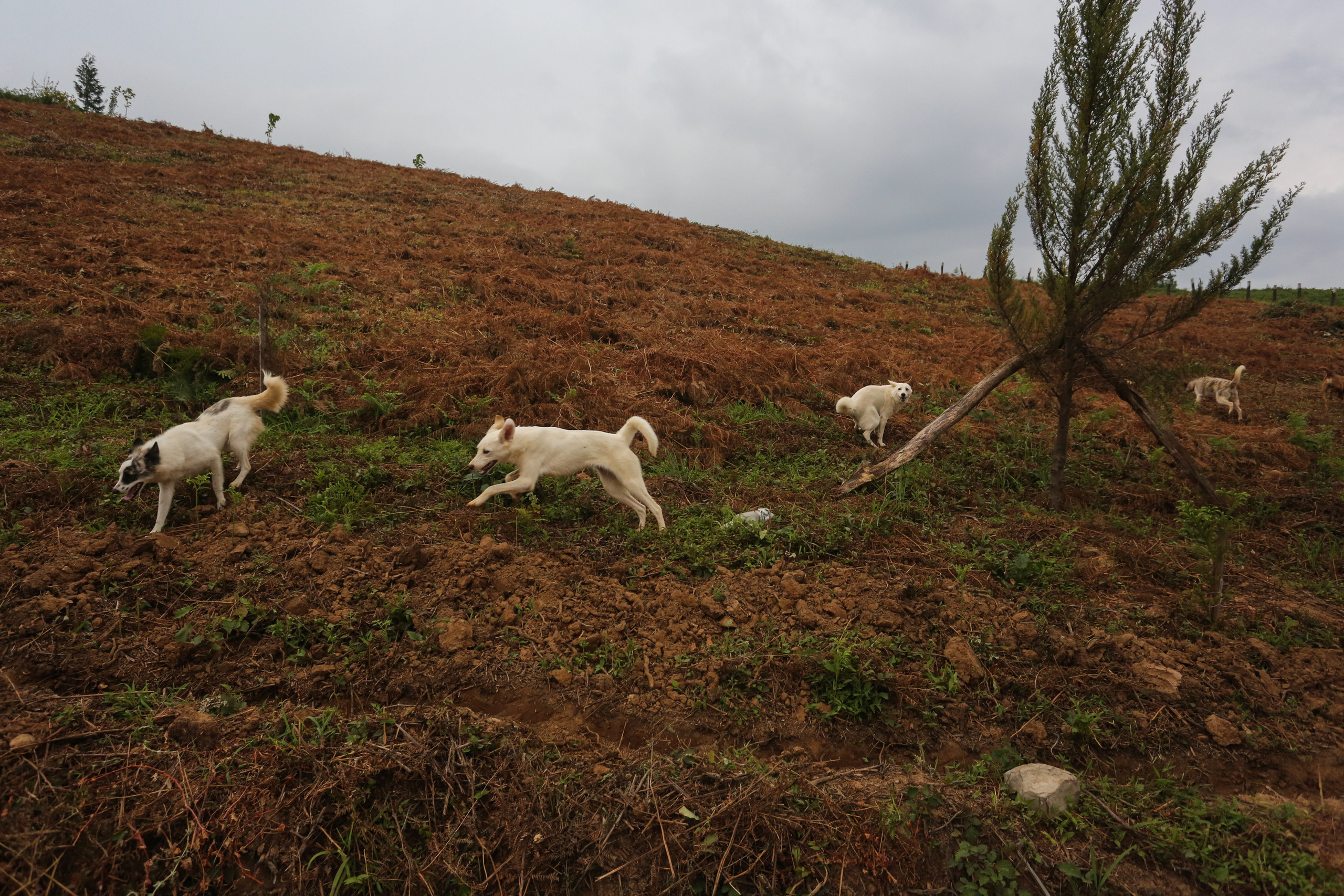 Ar Idardo. Marina Doctorova