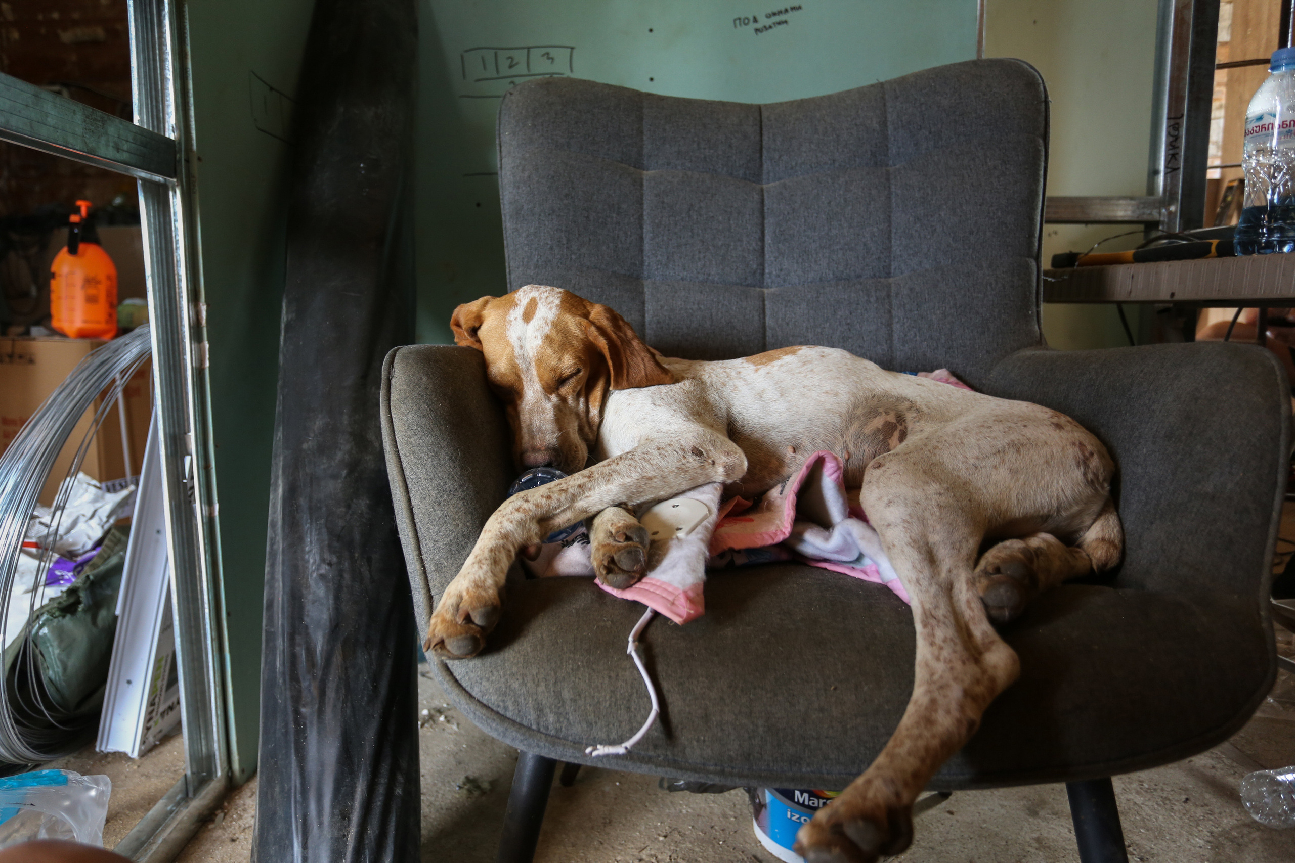 Ar Idardo. Marina Doctorova