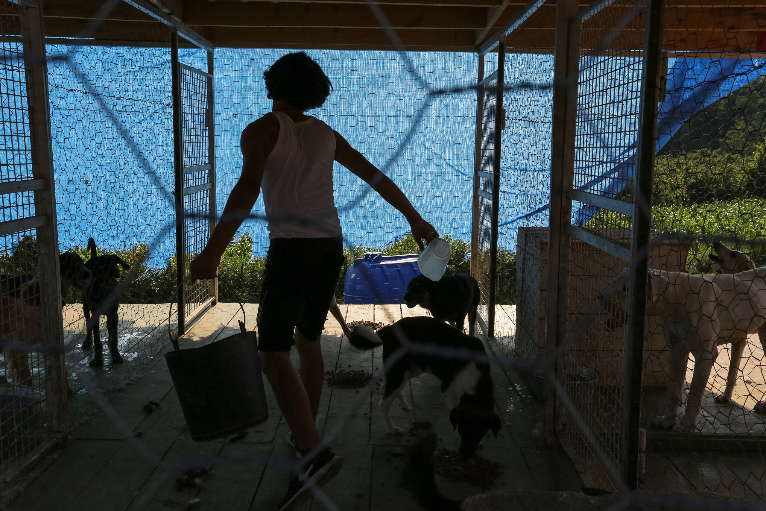 Ar Idardo. Marina Doctorova