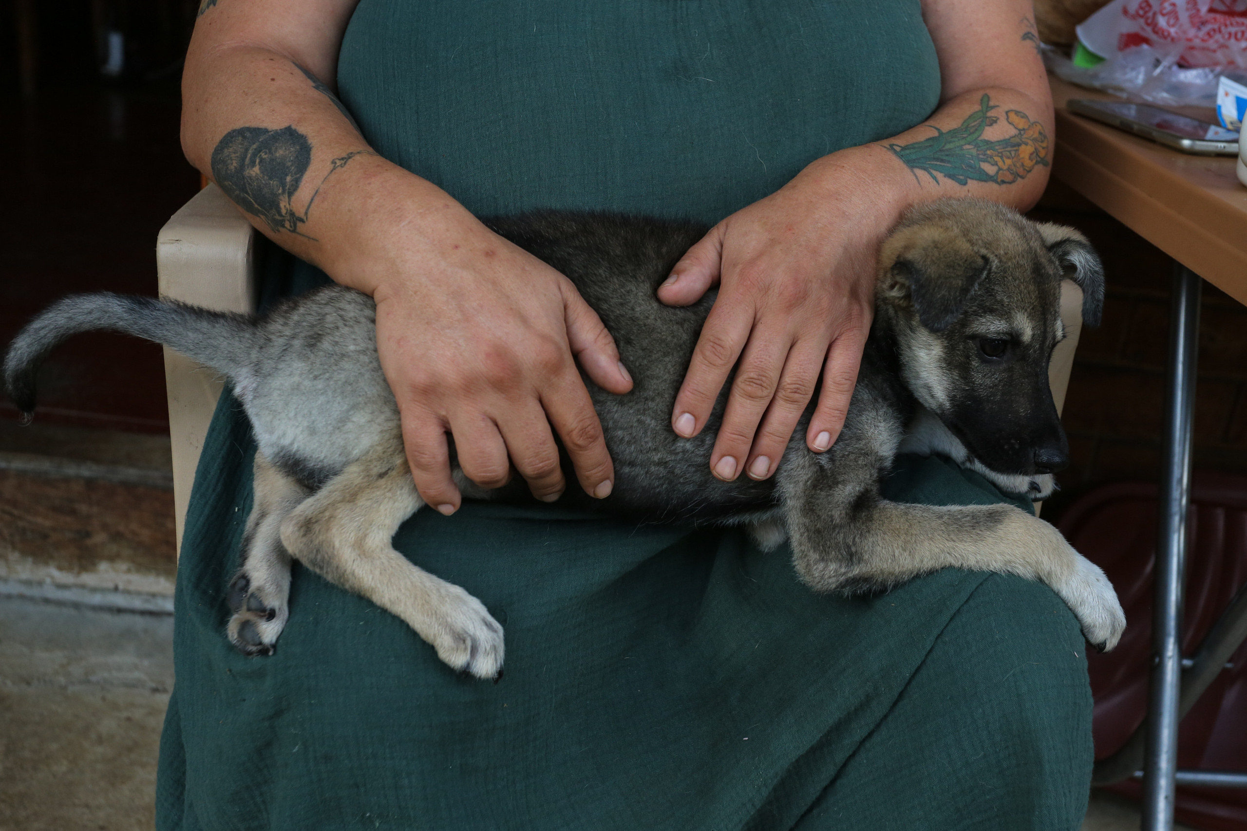 Ar Idardo. Marina Doctorova